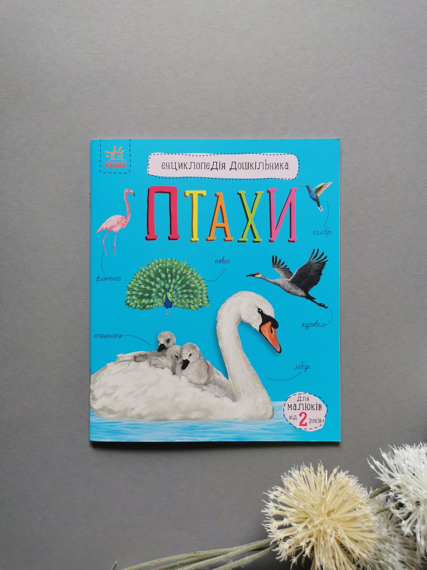 Енциклопедія дошкільника. Птахи