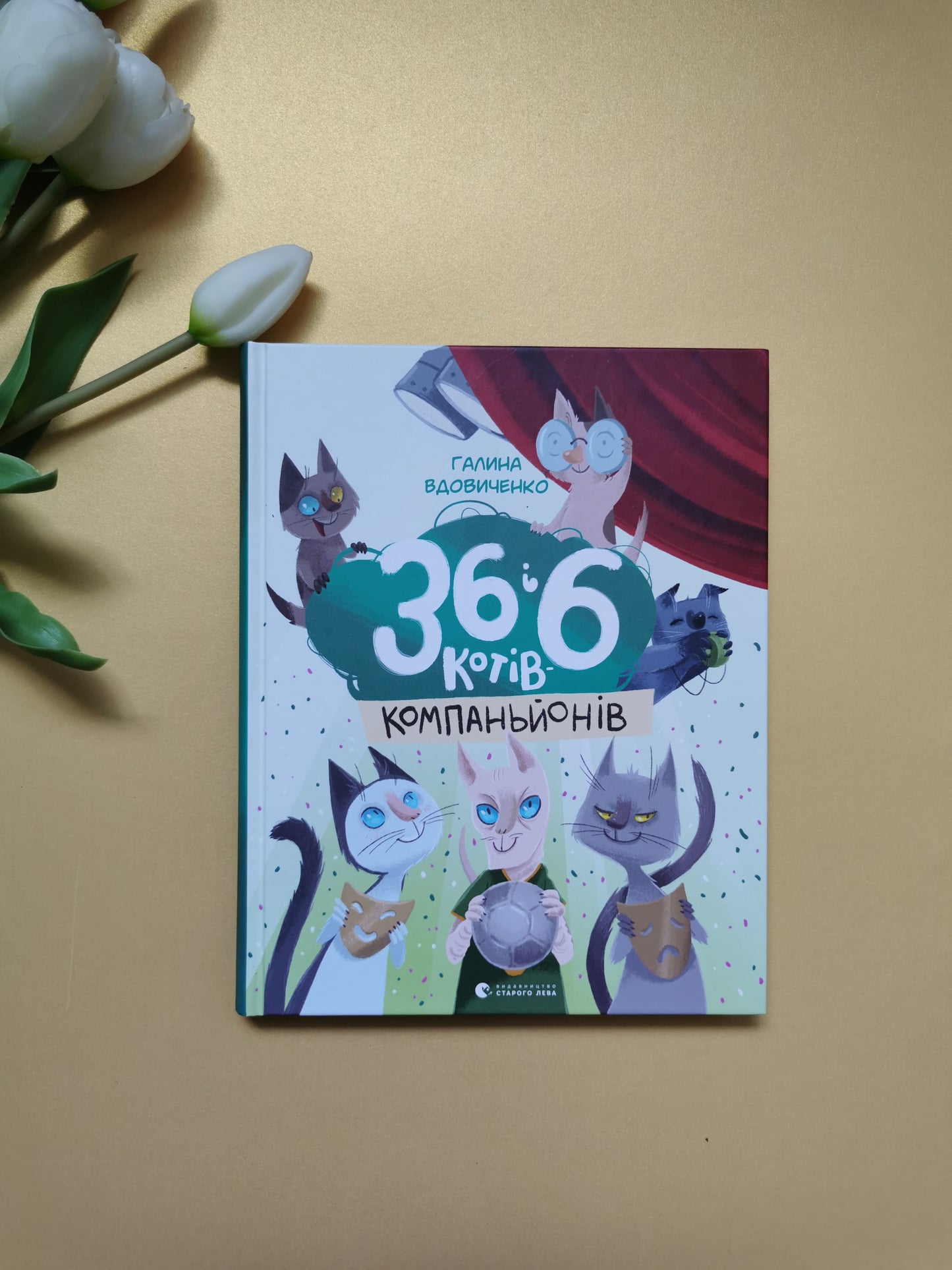 36 і 6 котів-компаньйонів