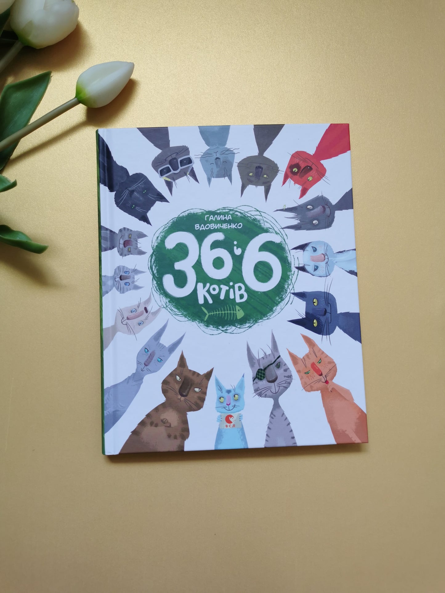 36 і 6 котів