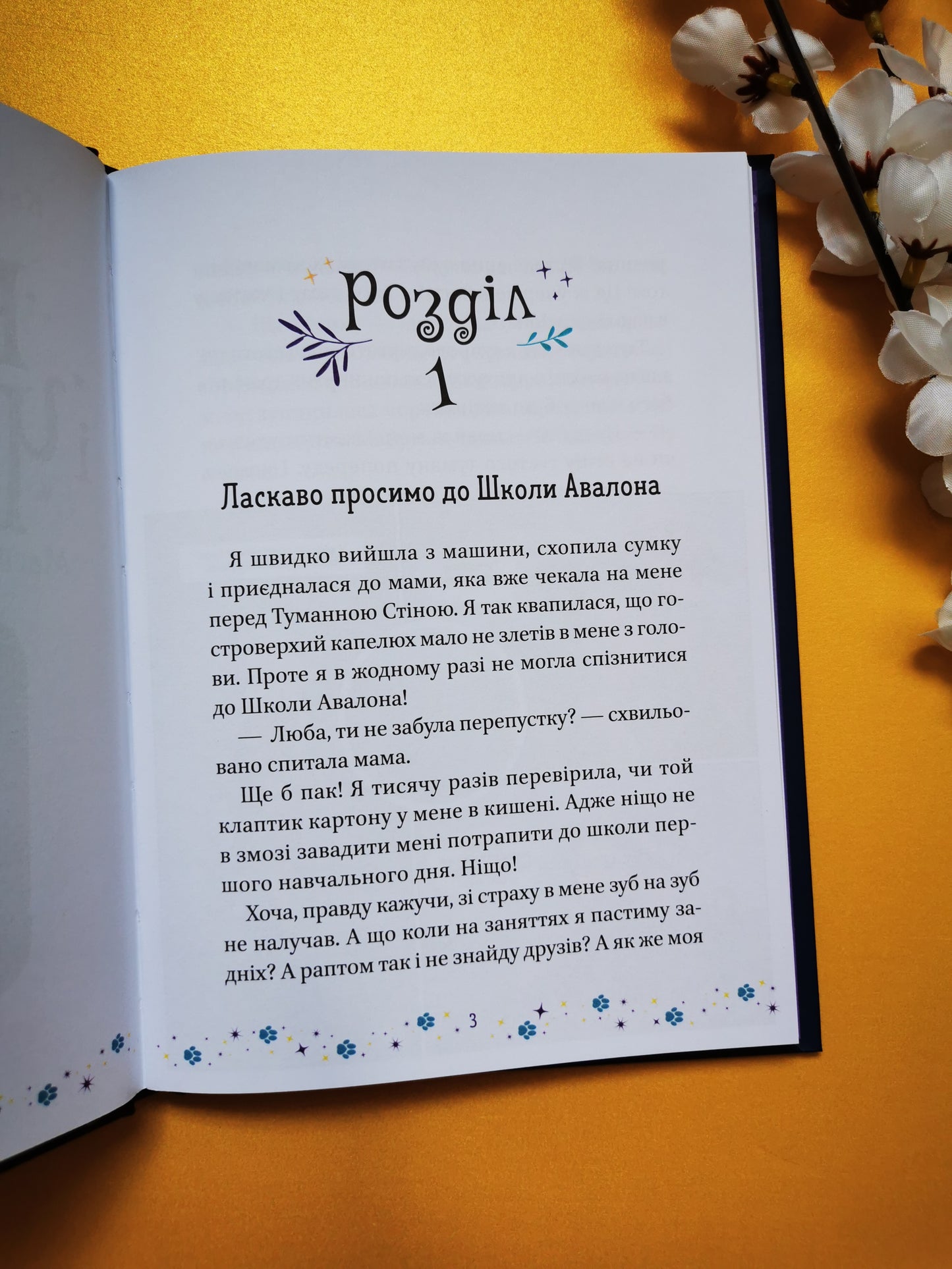 Коти і Чародійки. Магічні пригоди справжніх друзів