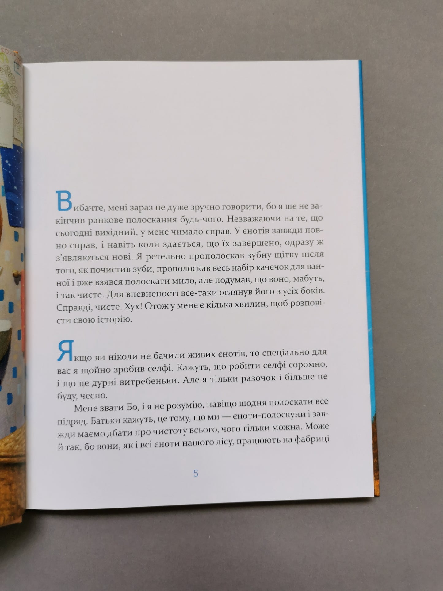 Єнотик Бо і повітряна куля