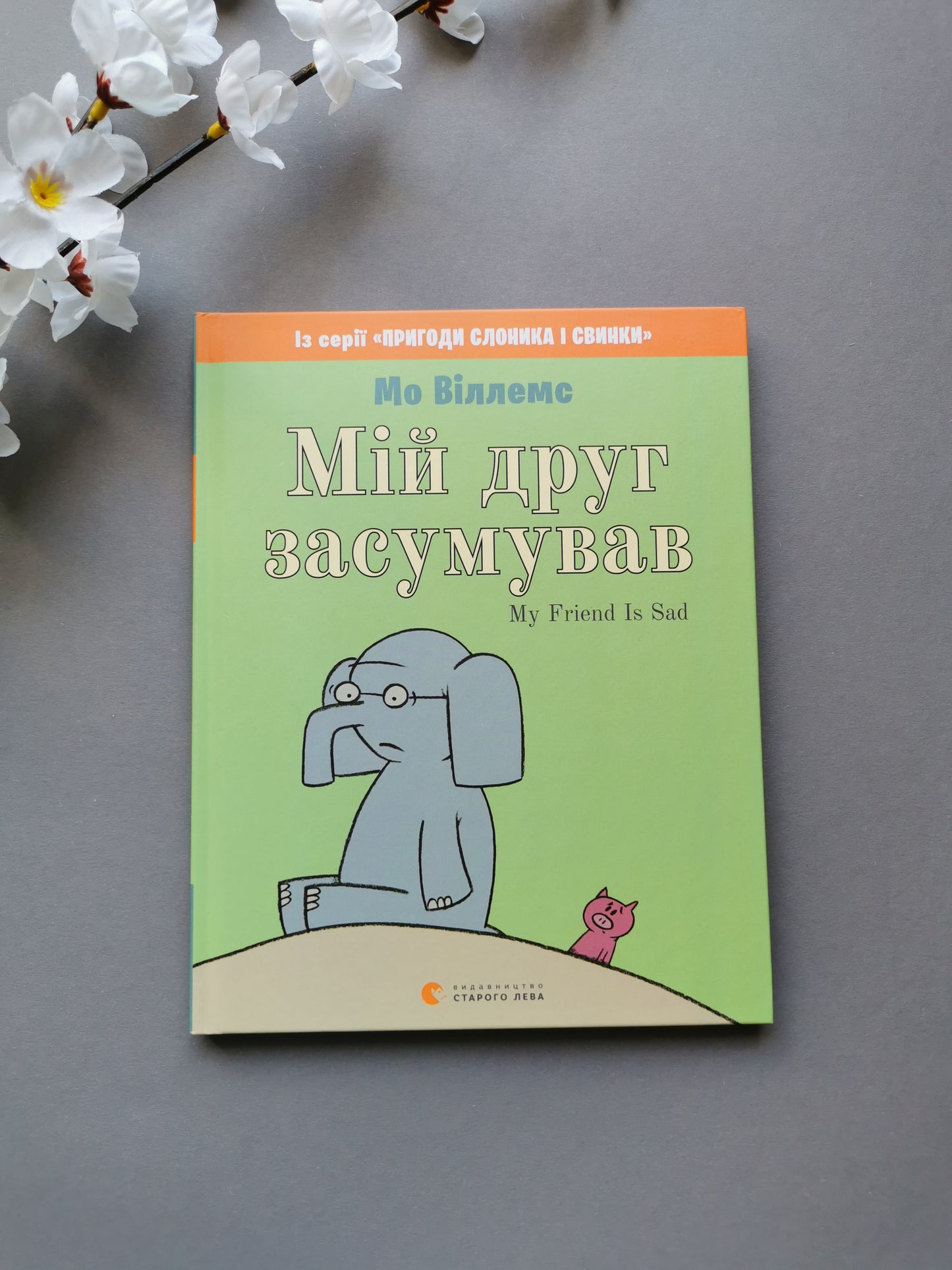 Мій друг засумував