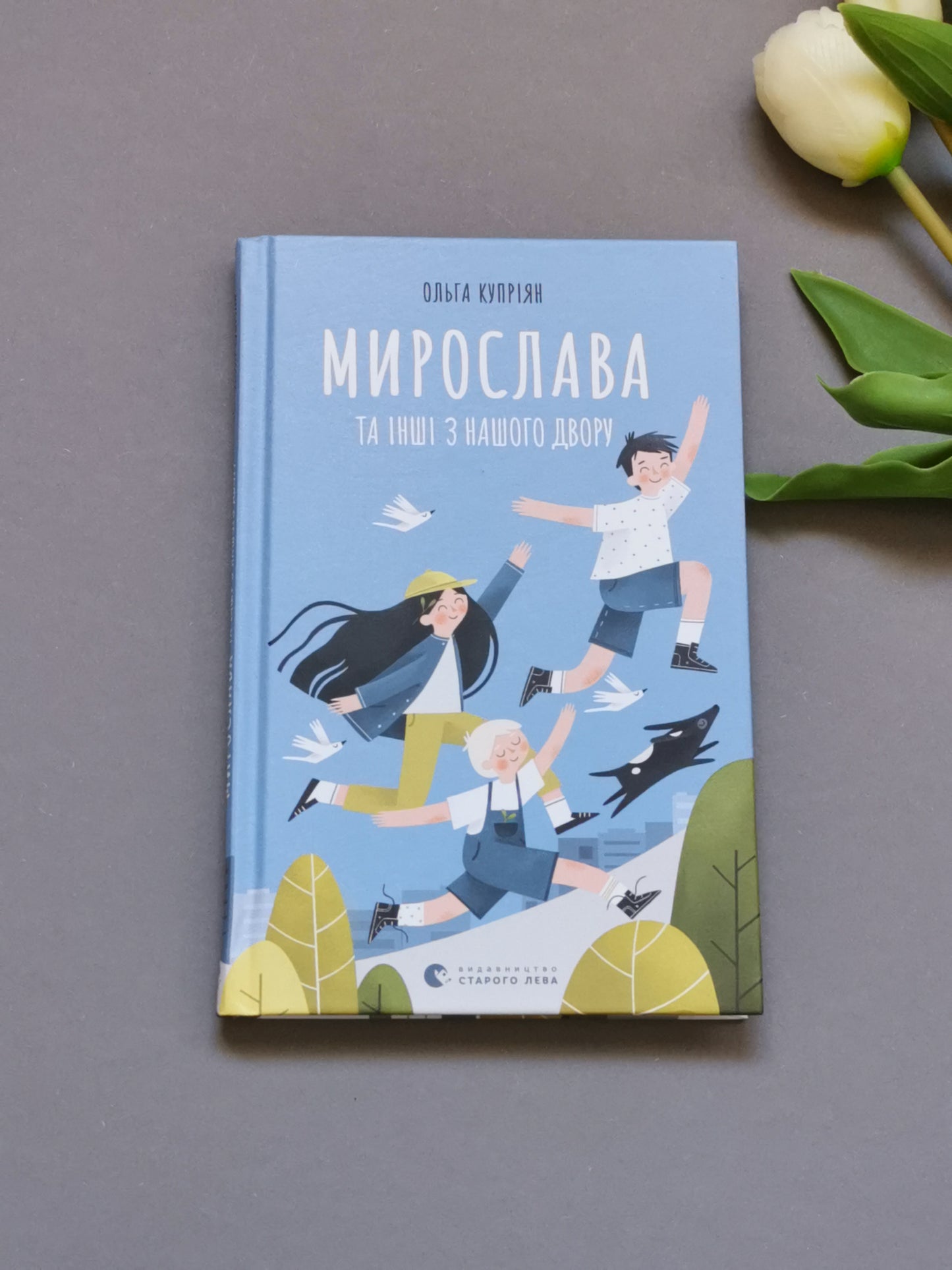 Мирослава та інші з нашого двору