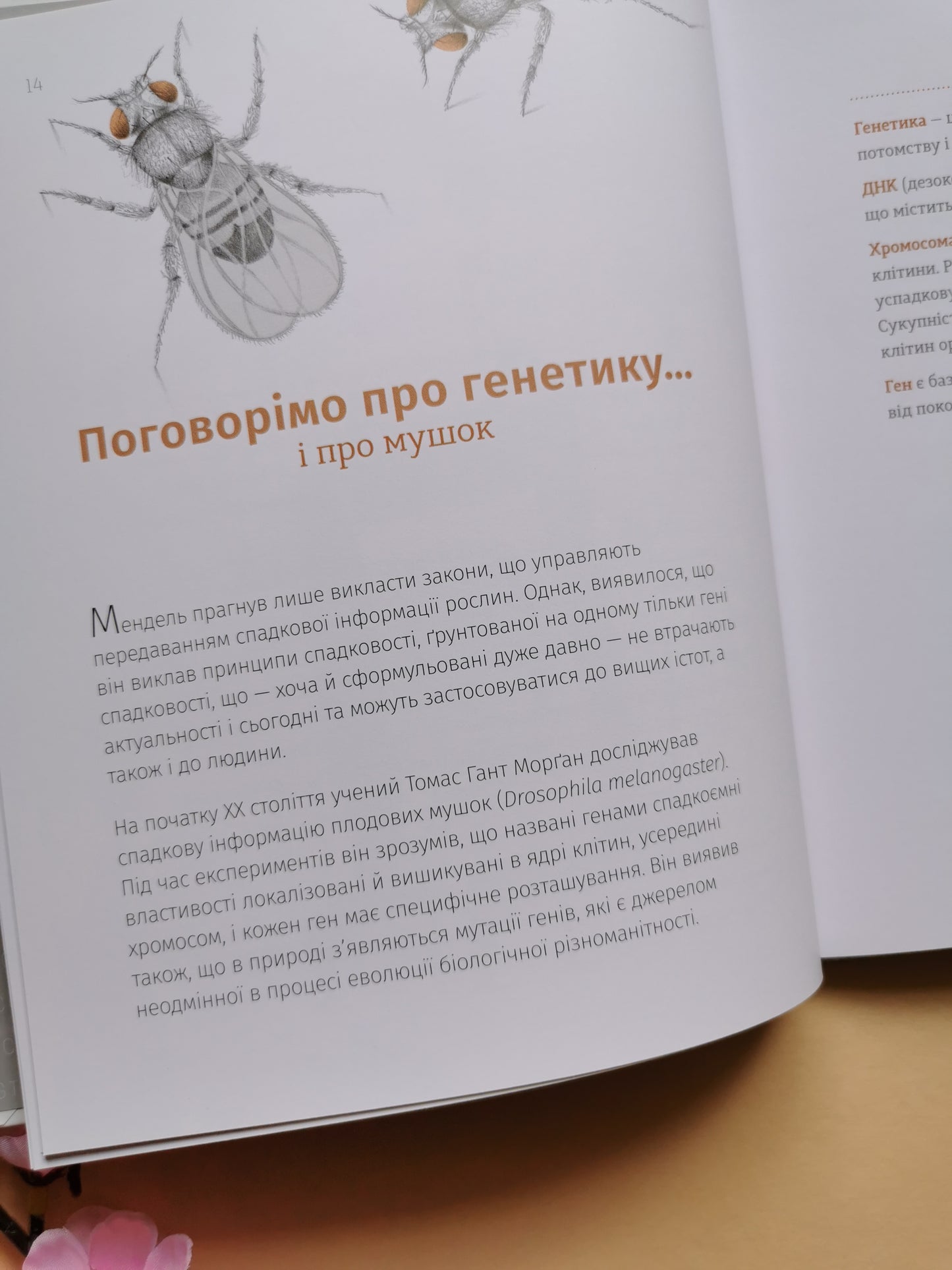 Однакові чи різні? Геноміка
