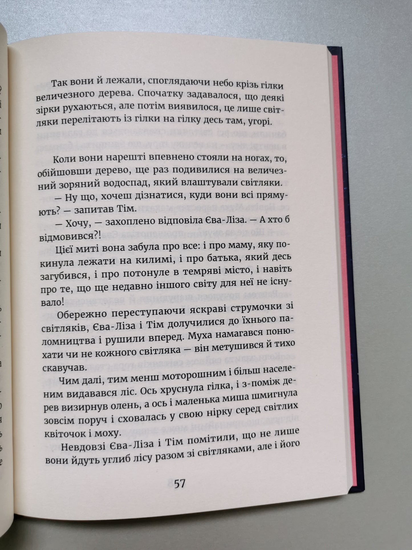 У світлі світляків. На порозі ночі