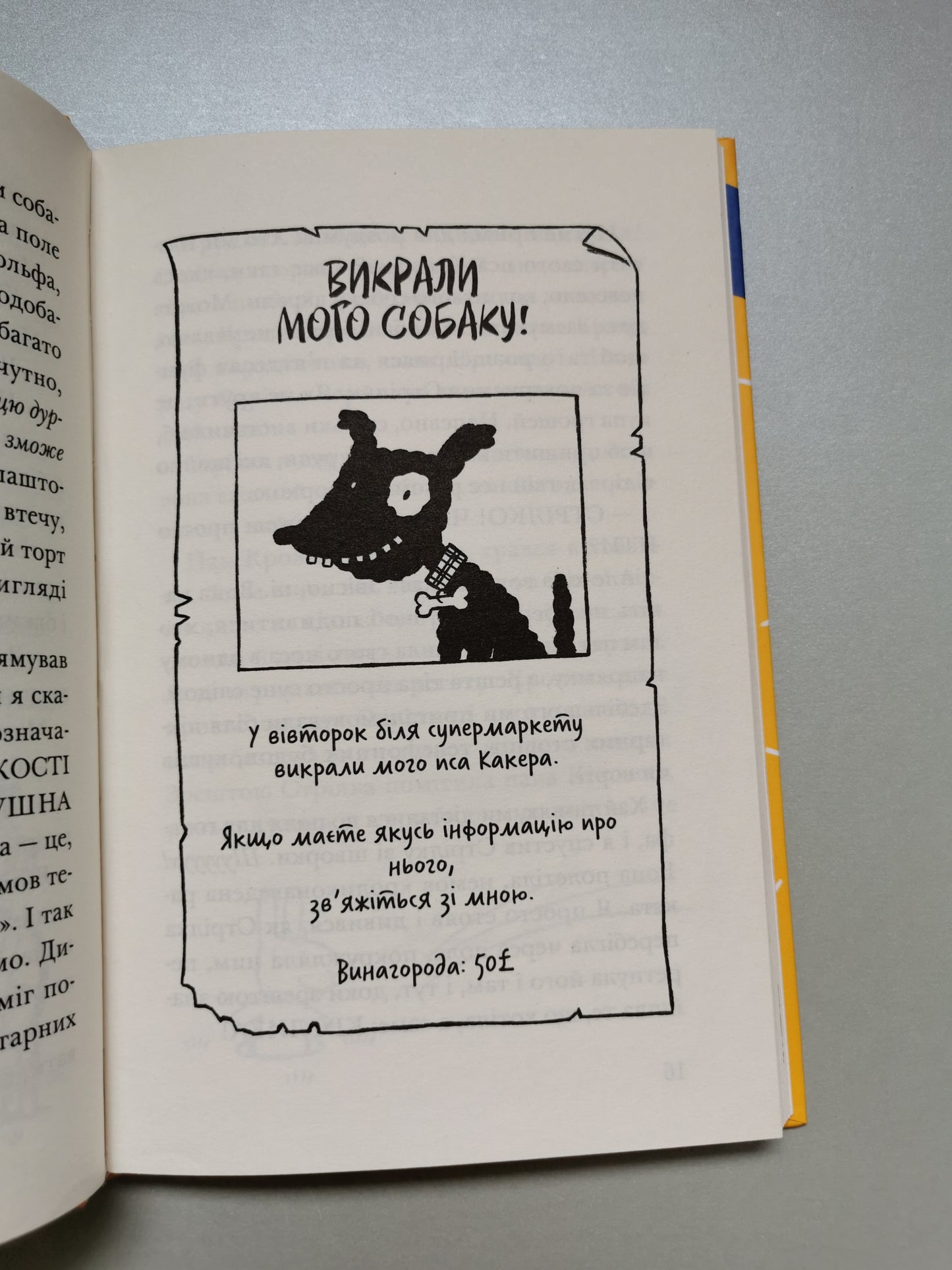 Ракета на чотирьох лапах під прикриттям