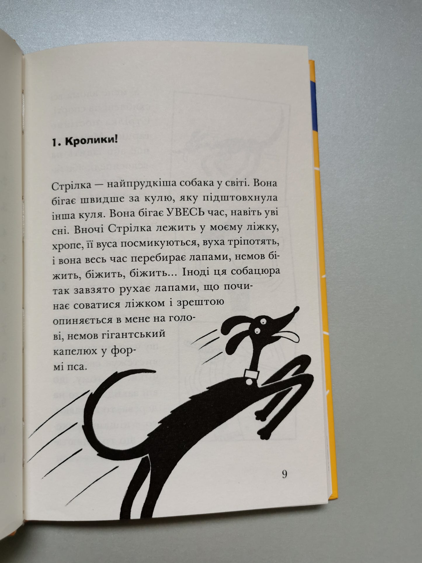Ракета на чотирьох лапах під прикриттям