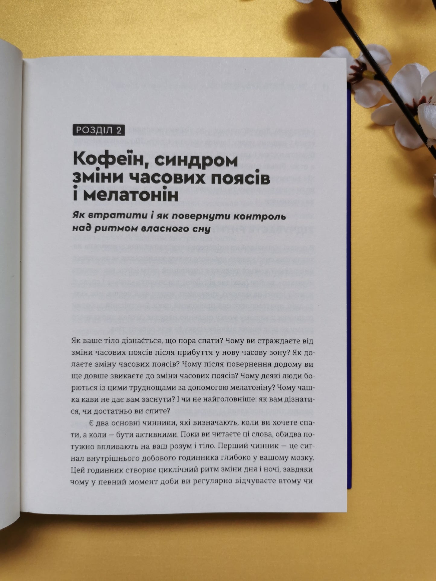 Чому ми спимо. Користаємо з усіх можливостей сну та сновидінь