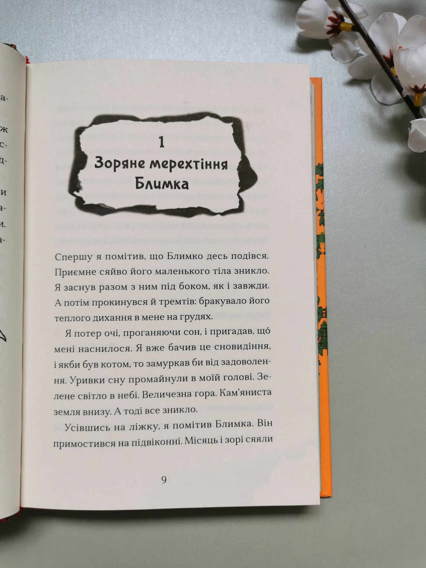 Хлопчик, який літав з драконами