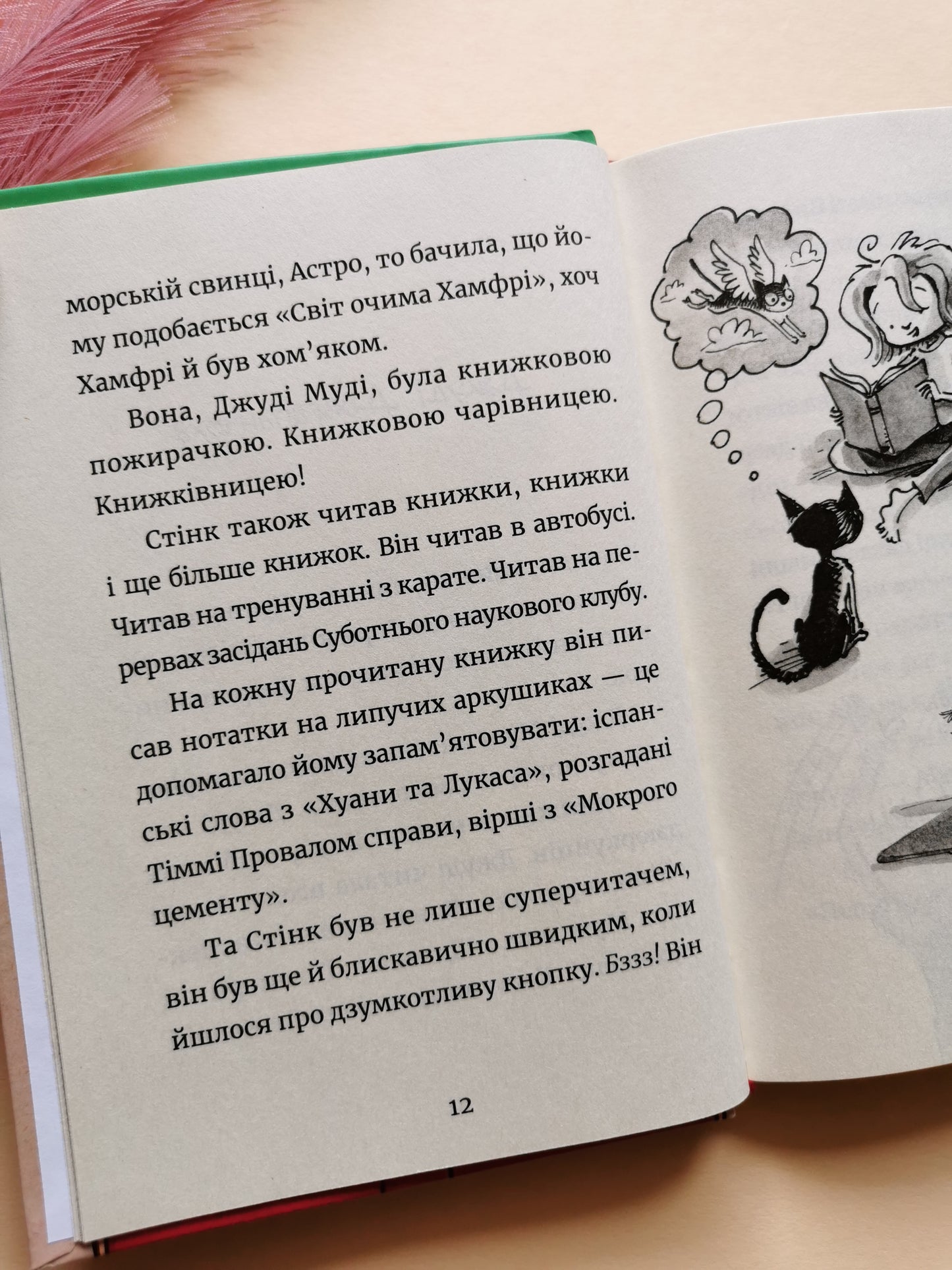 Джуді Муді та книжкова вікторина