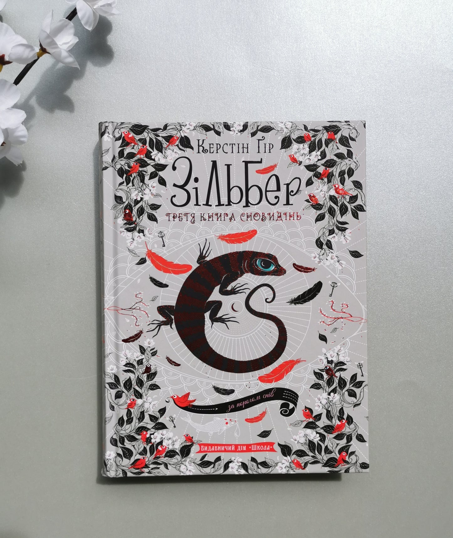 ЗІЛЬБЕР. ТРЕТЯ КНИГА СНОВИДІНЬ. Керстін Ґір.