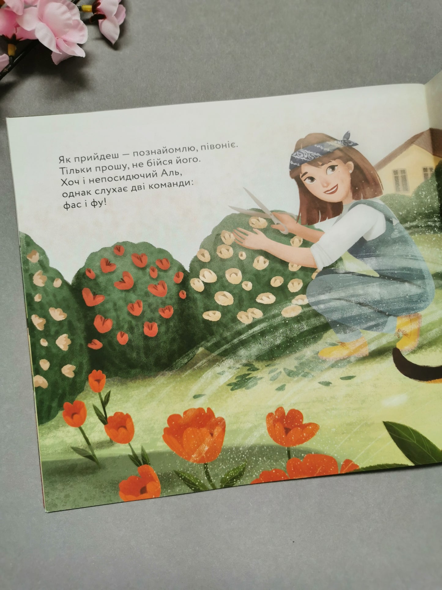 Півонія, Аль і я. О. Лущевська та М. Кошулинська