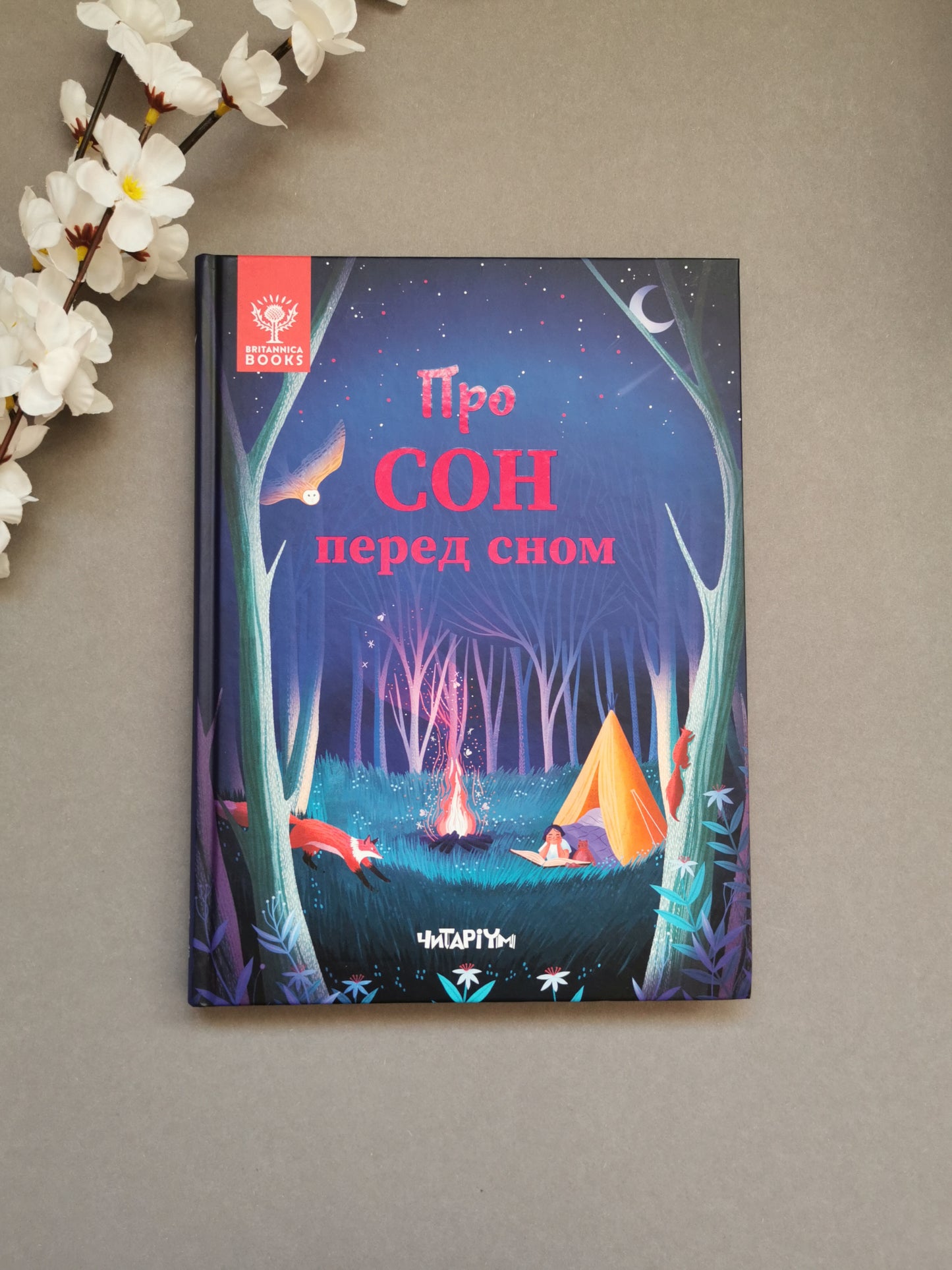 Про сон перед сном