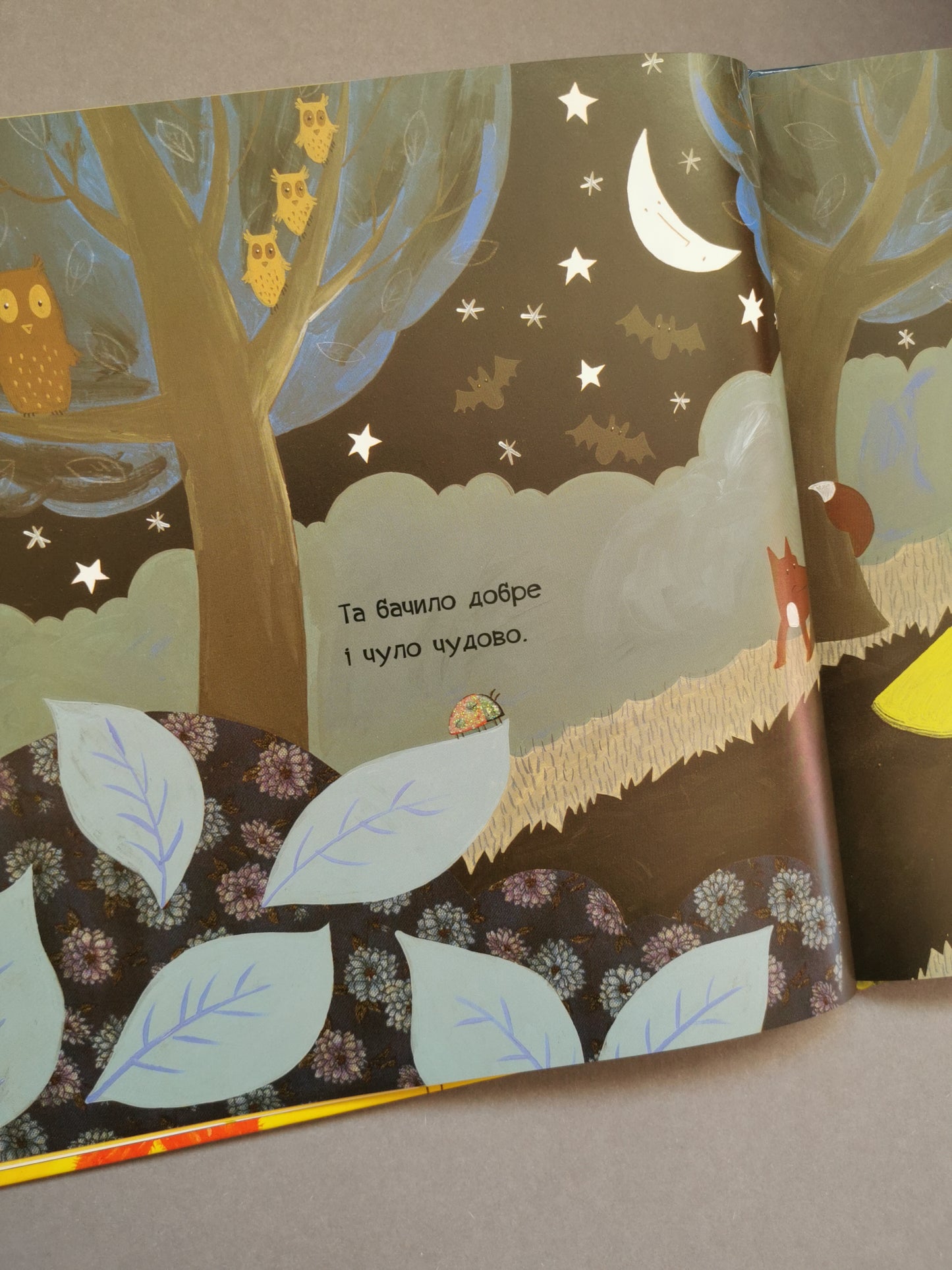 Що почуло сонечко. Дж. Дональдсон