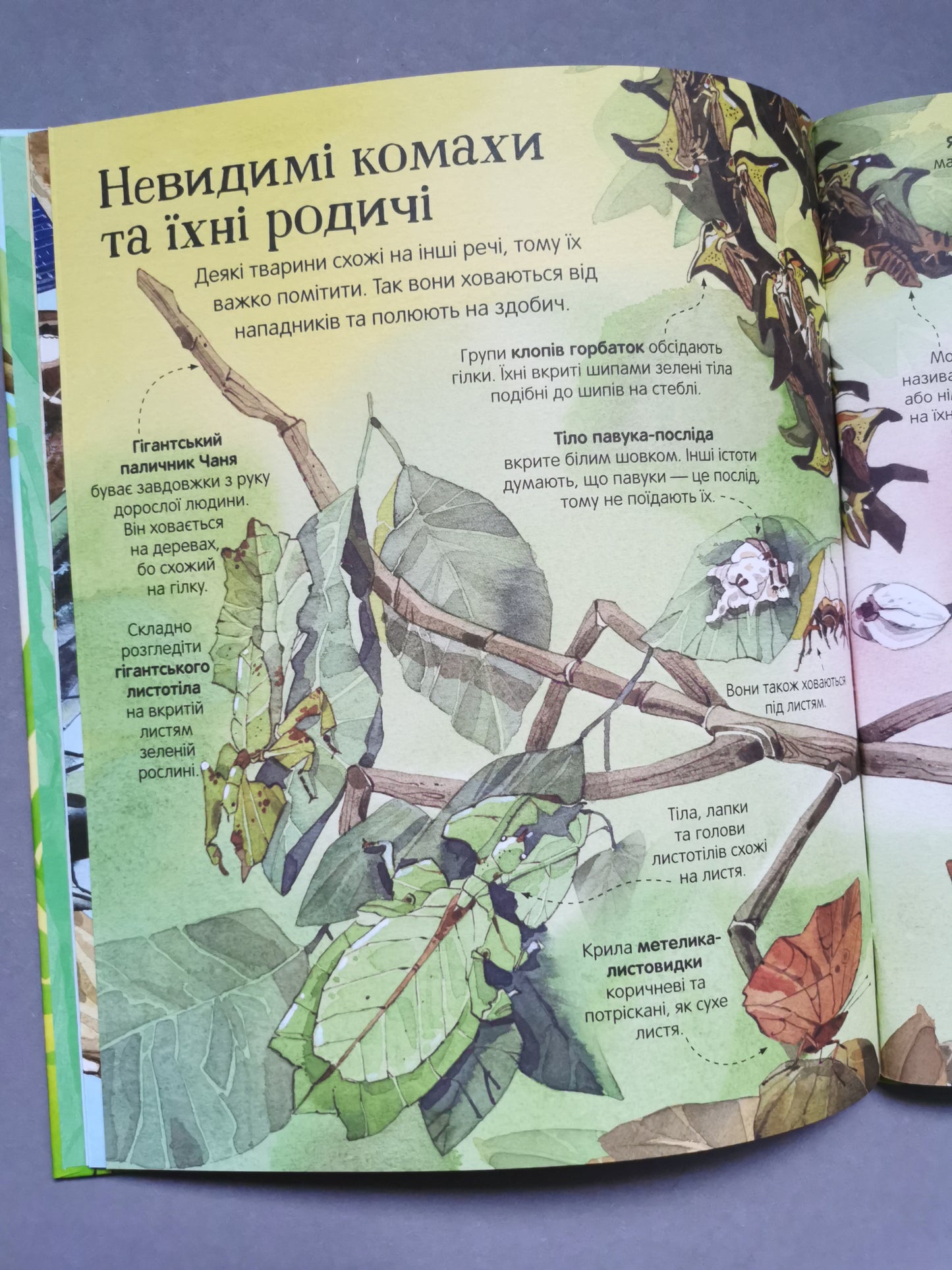 Велика книга комах