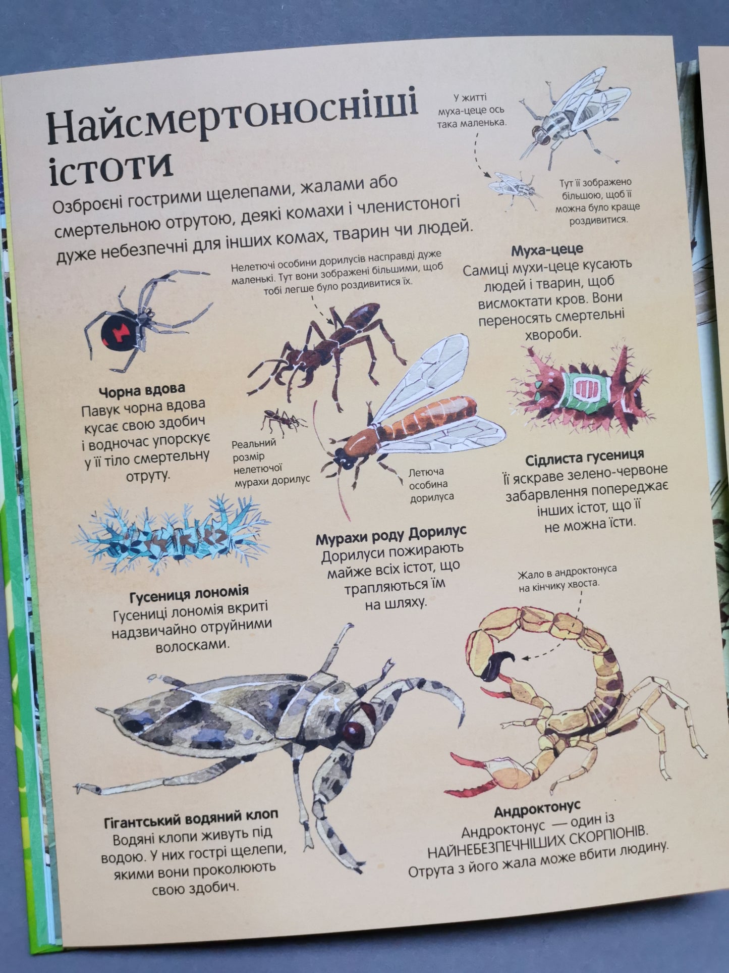 Велика книга комах