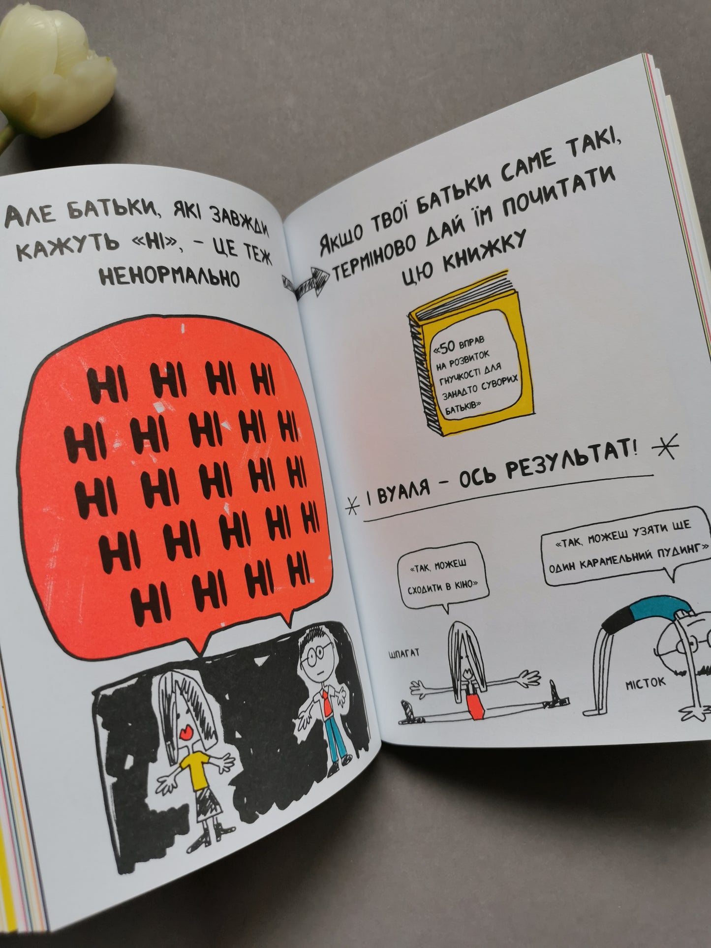 Книжка, яка нарешті пояснить тобі геть усе про батьків
