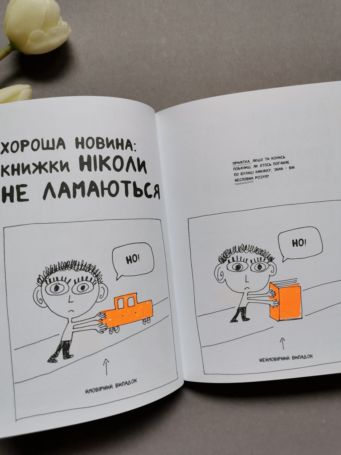 Книжка, яка допоможе полюбити книжки навіть тим, хто не любить читати!