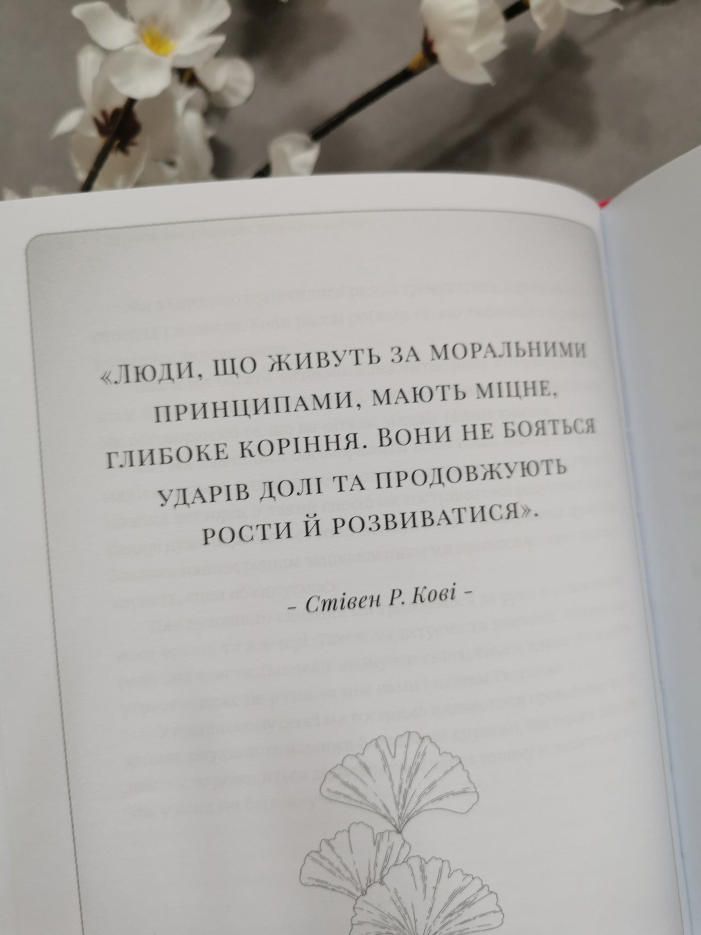 7 звичок високоефективного шлюбу