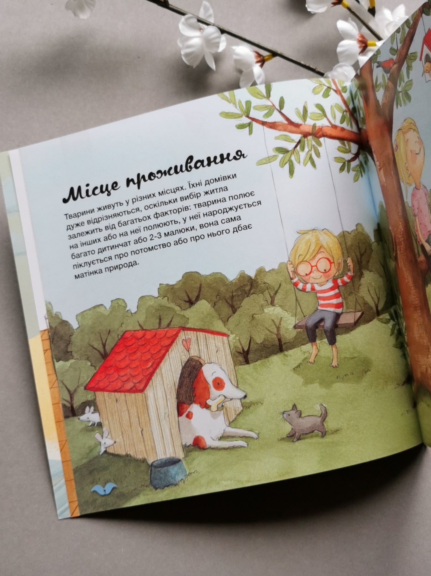Дізнавайся про світ разом із нами! Як тварини облаштовують свої домівки?