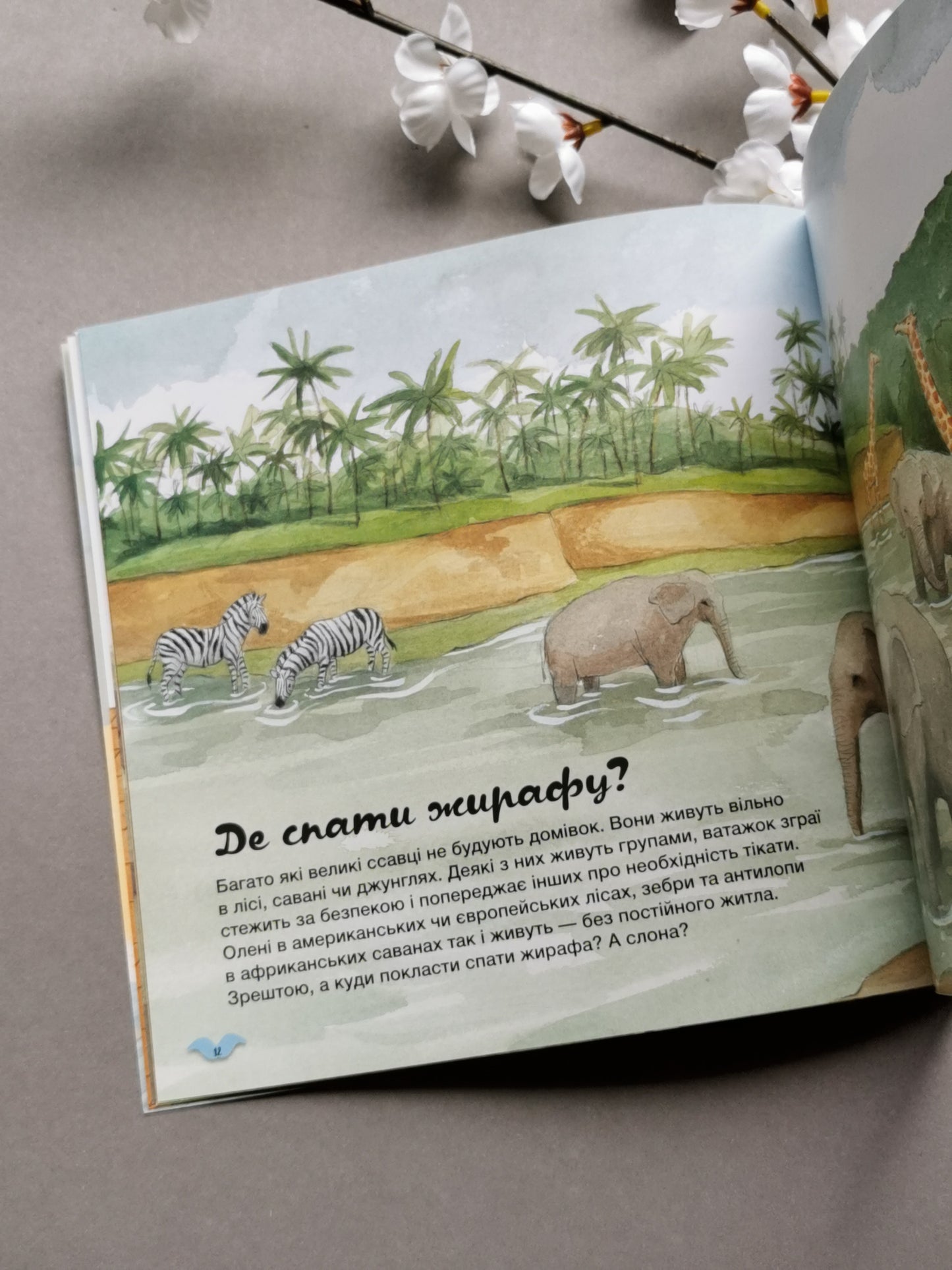Дізнавайся про світ разом із нами! Як тварини облаштовують свої домівки?