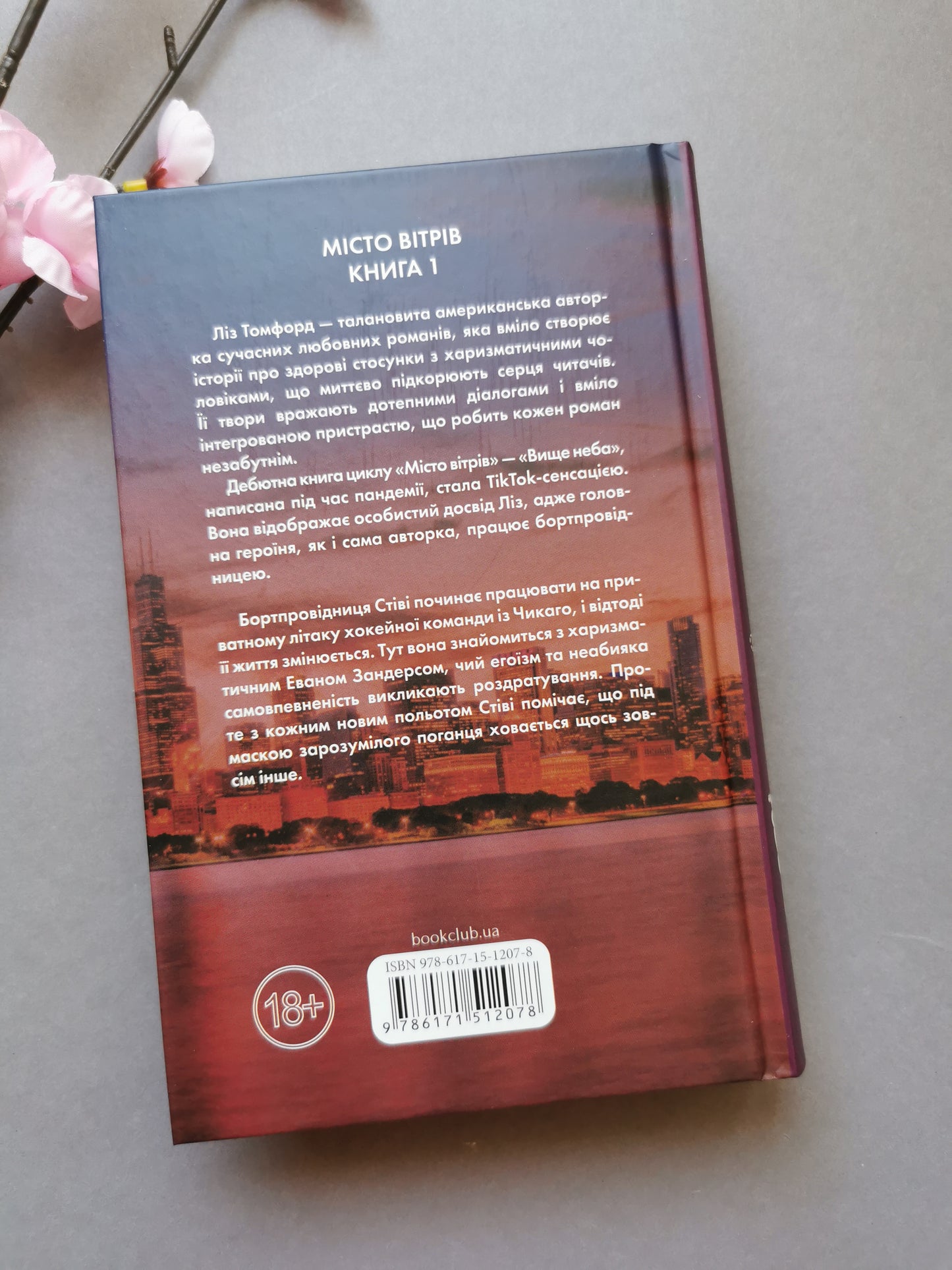 Вище неба. Місто вітрів. Книга 1