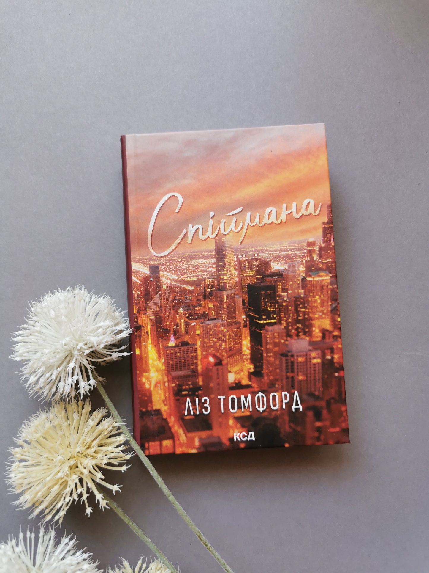 Спіймана. Місто вітрів. Книга 3