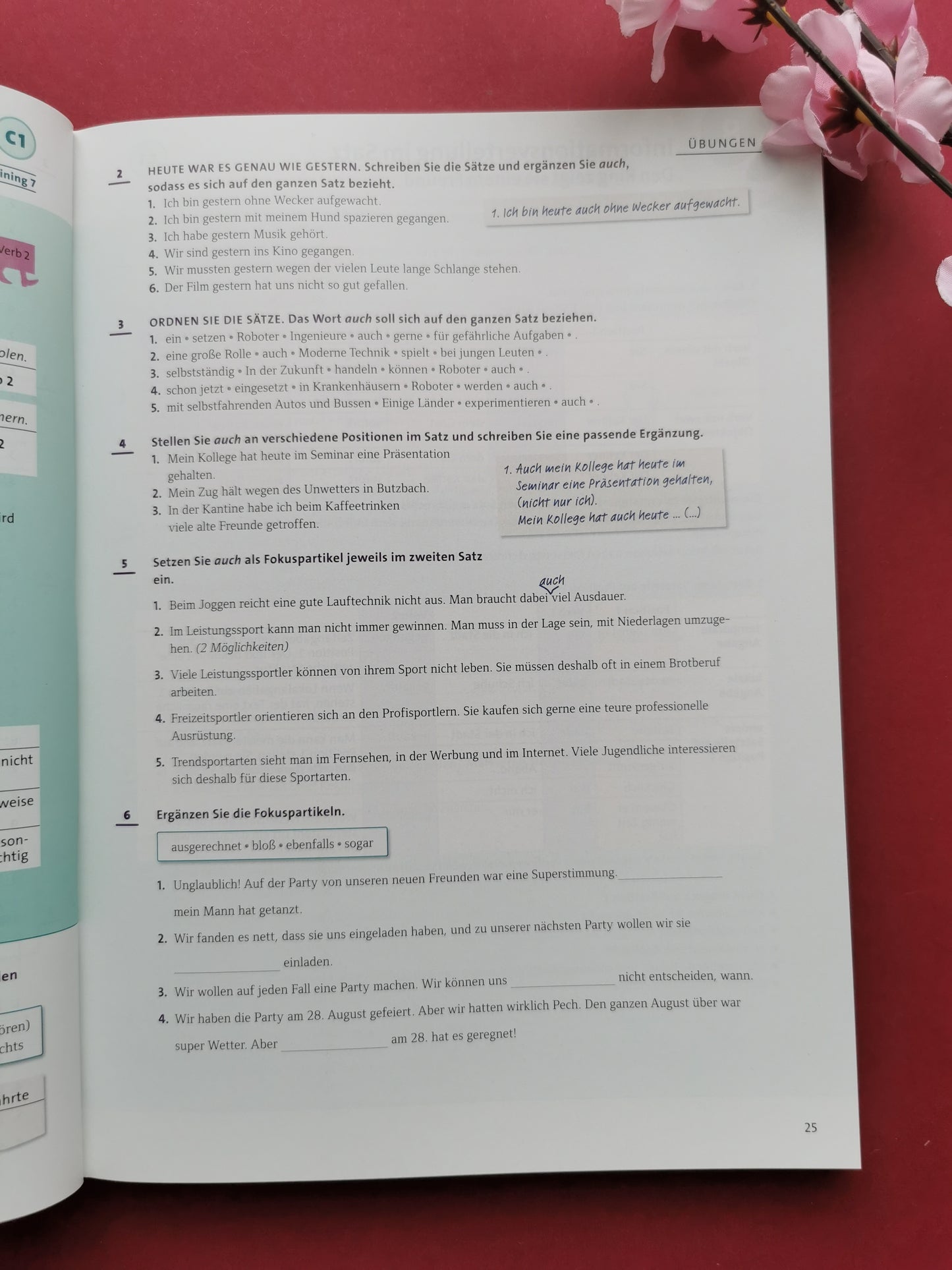 Grammatik aktiv - Deutsch als Fremdsprache - B2/C1