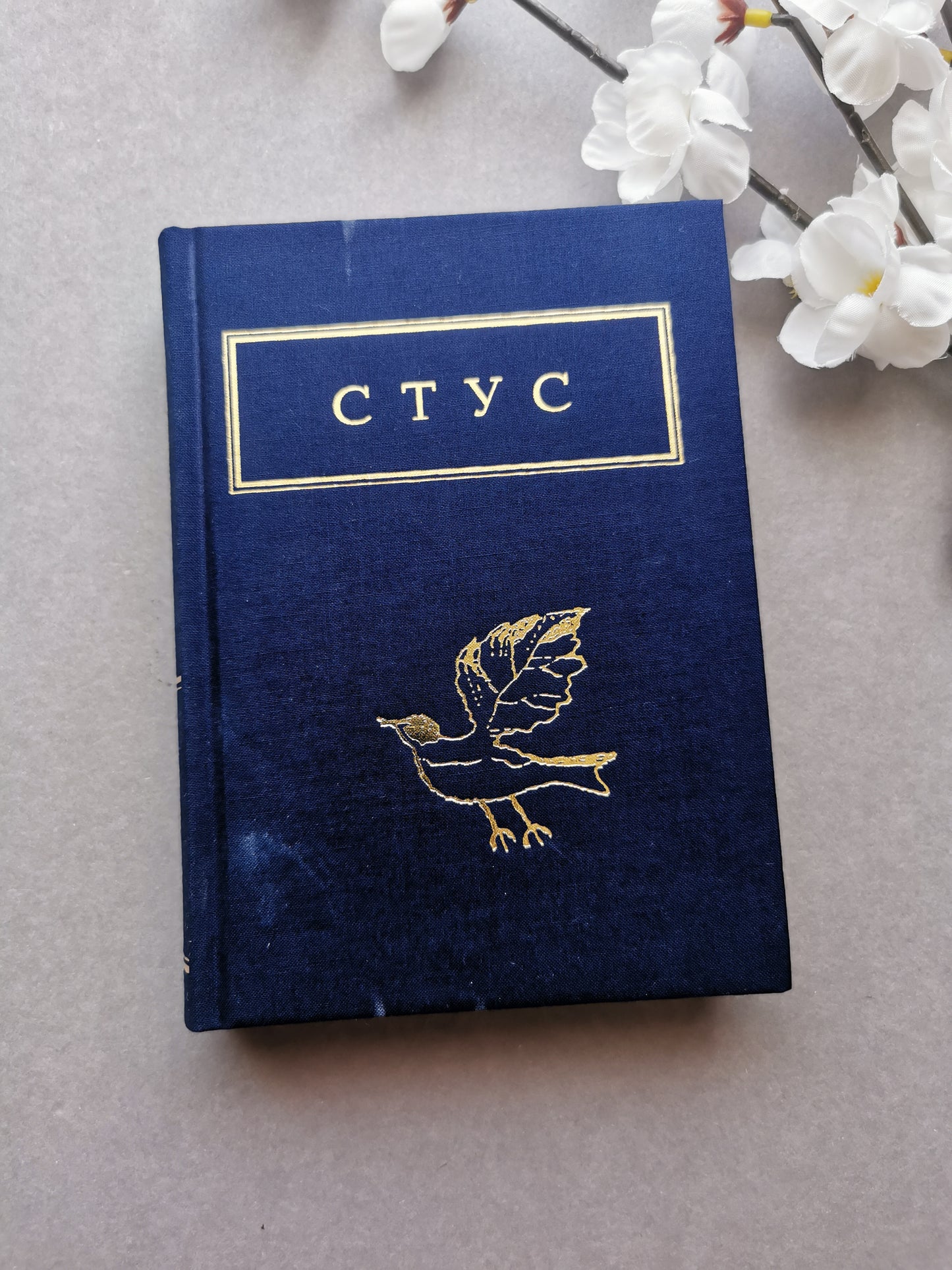 Василь Стус: Палімпсести. Вибране