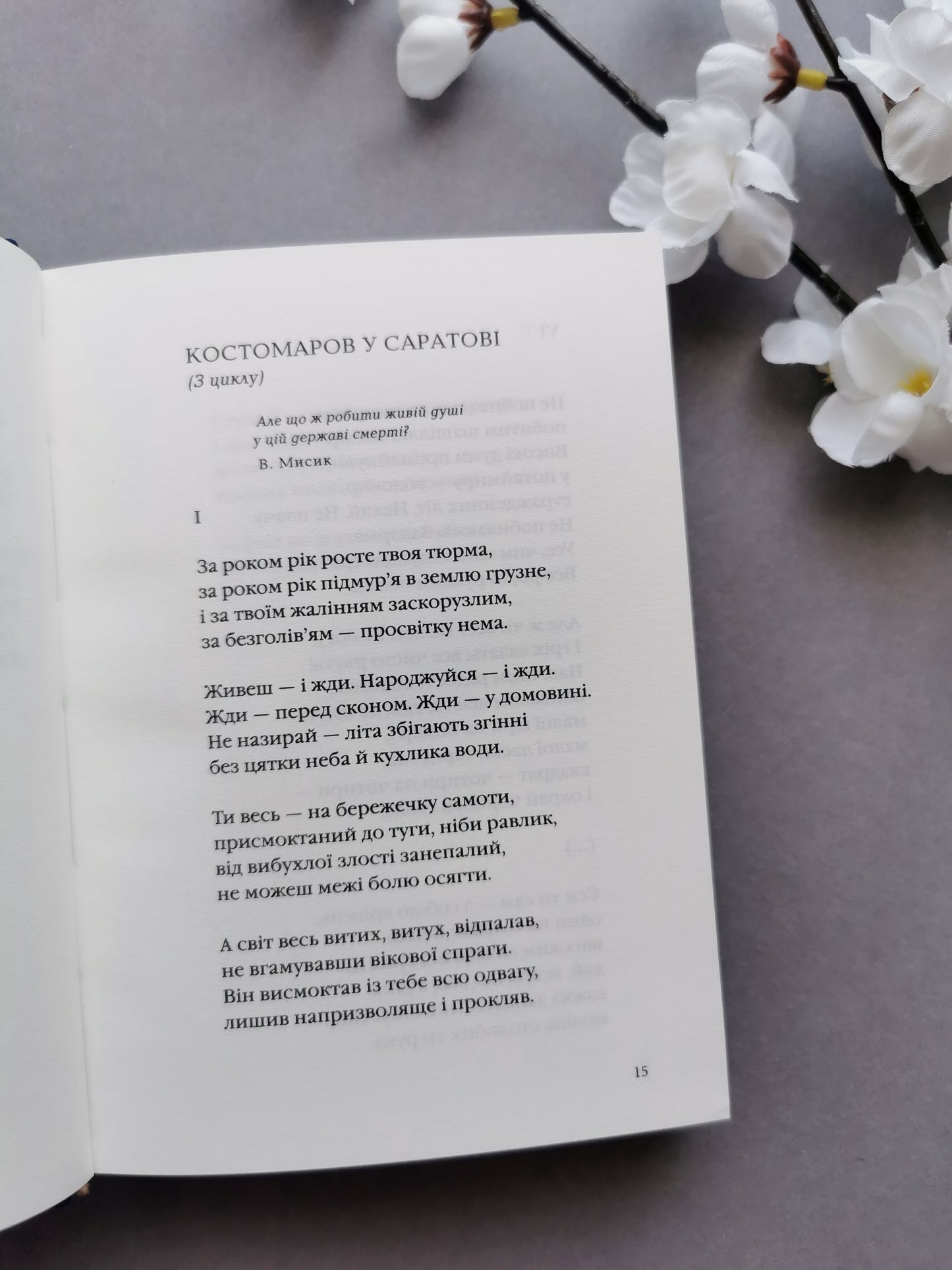 Василь Стус: Палімпсести. Вибране