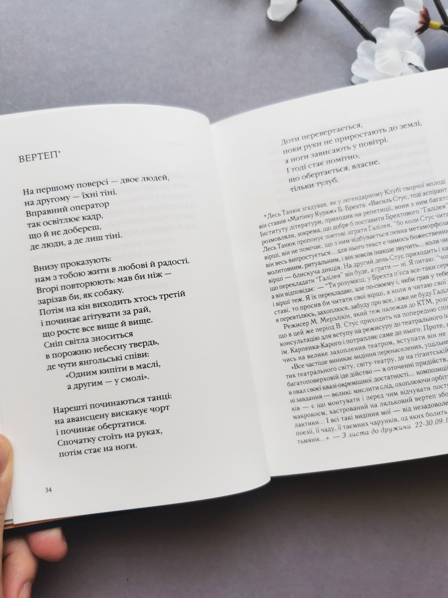 Василь Стус: Палімпсести. Вибране