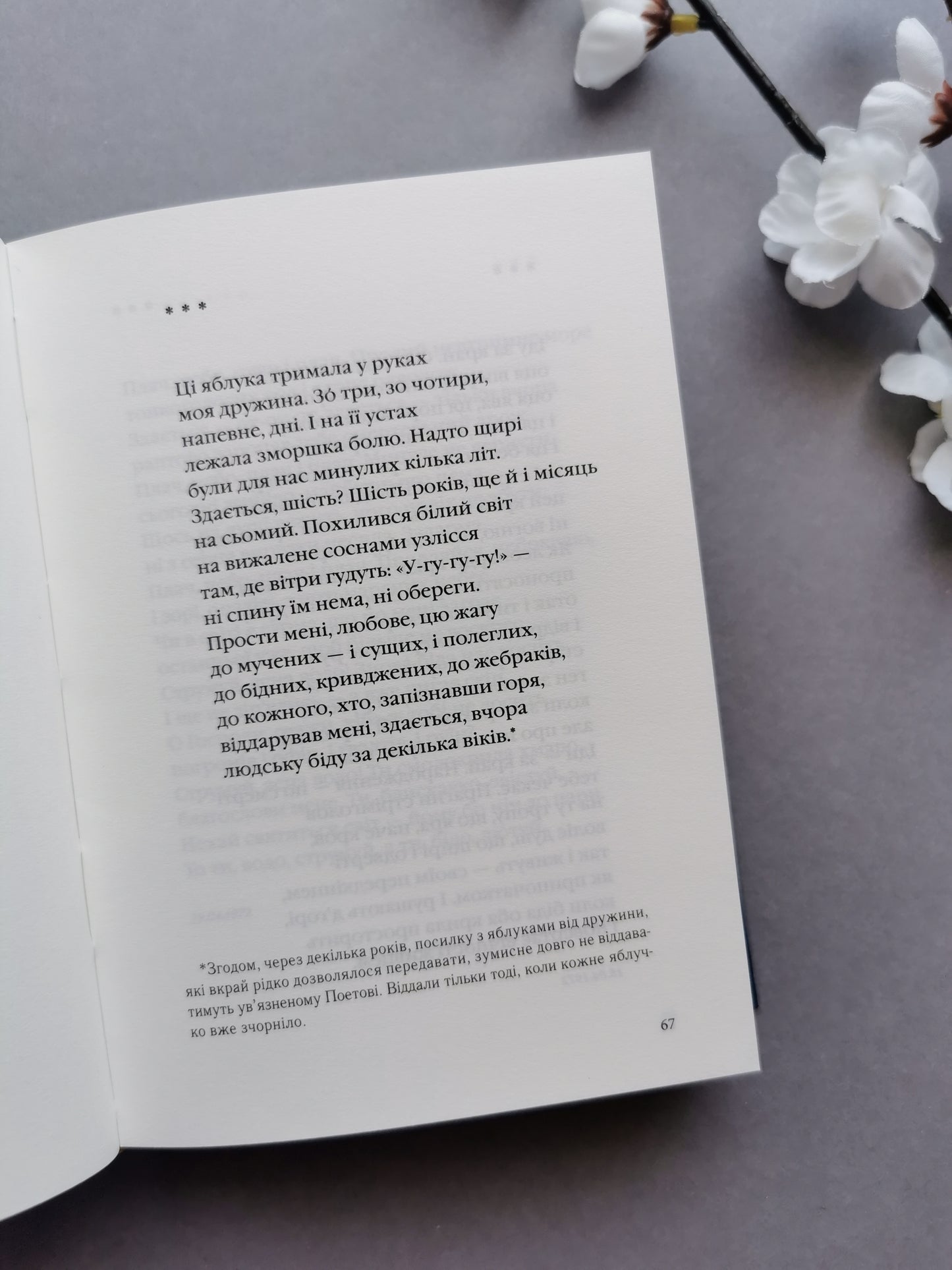 Василь Стус: Палімпсести. Вибране