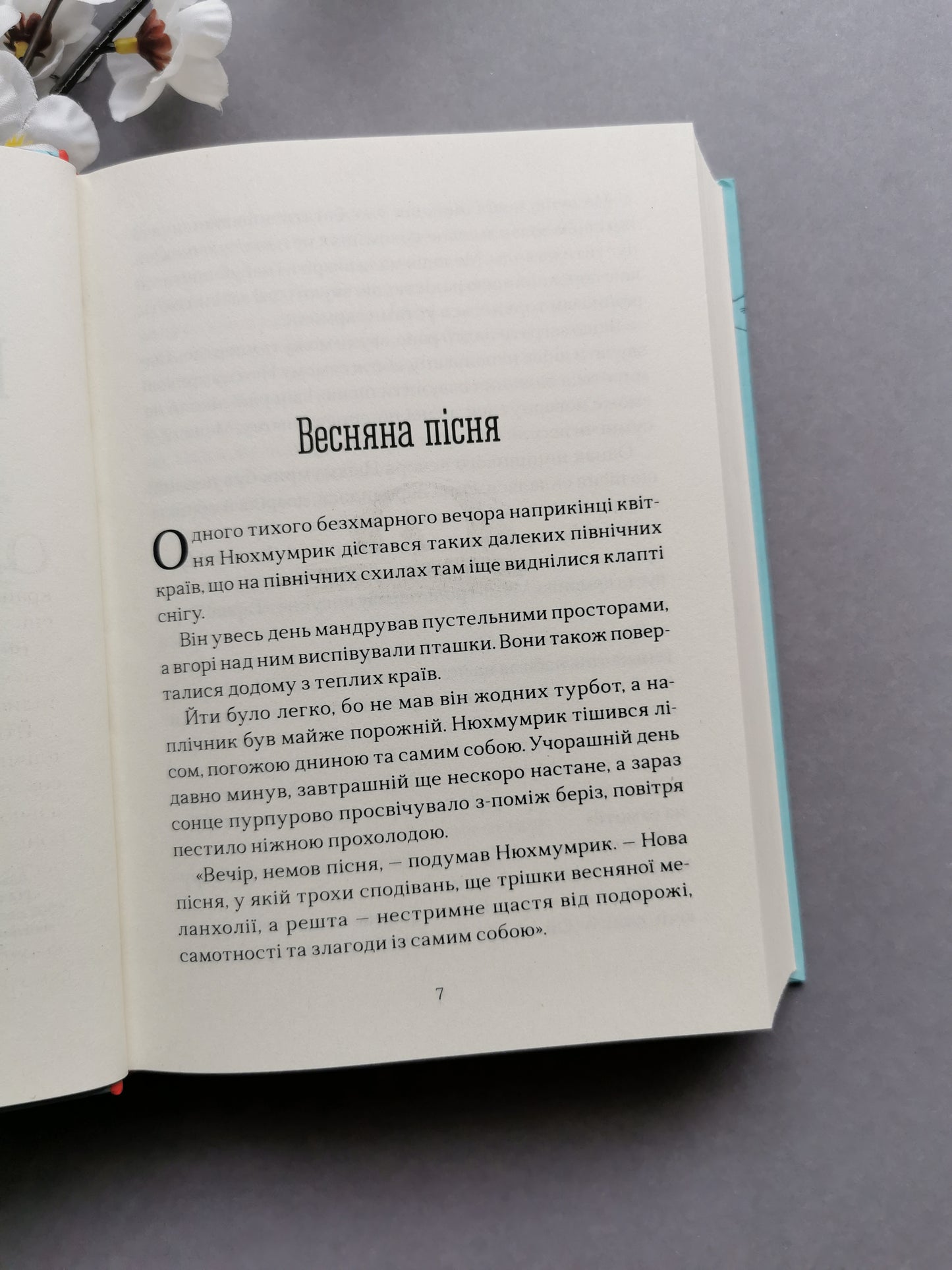 Країна Мумі-тролів. Книга третя