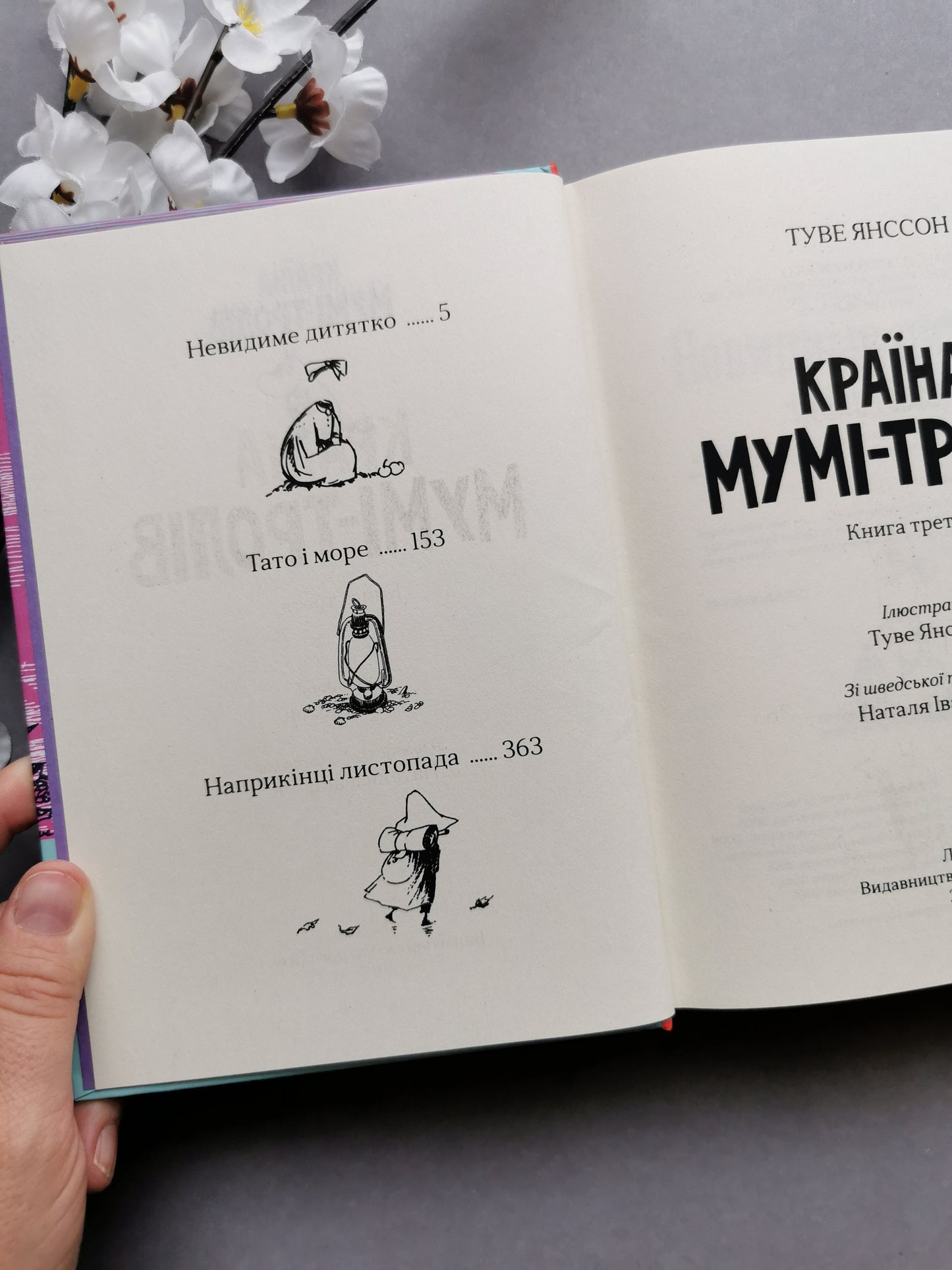 Країна Мумі-тролів. Книга третя