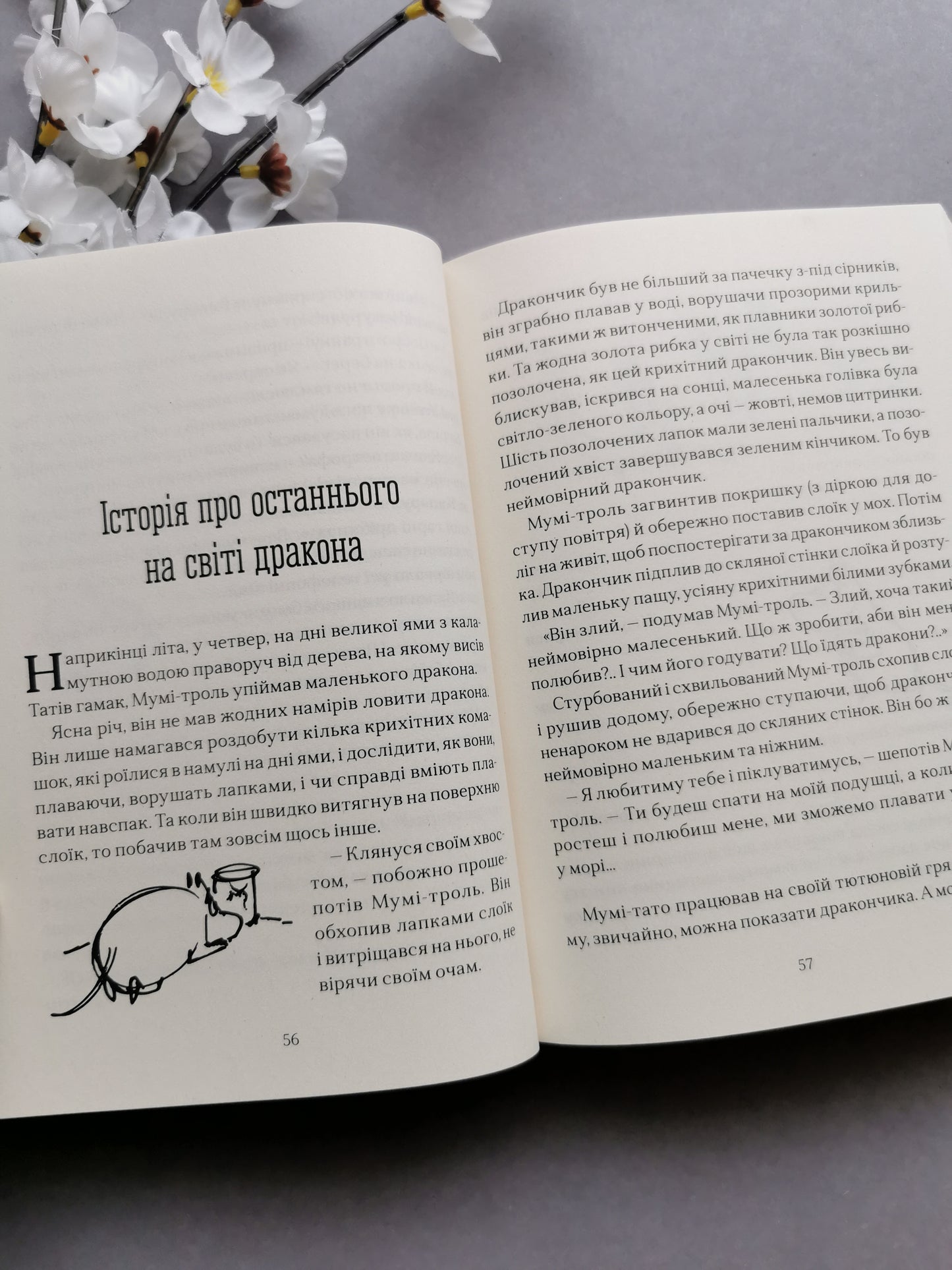 Країна Мумі-тролів. Книга третя