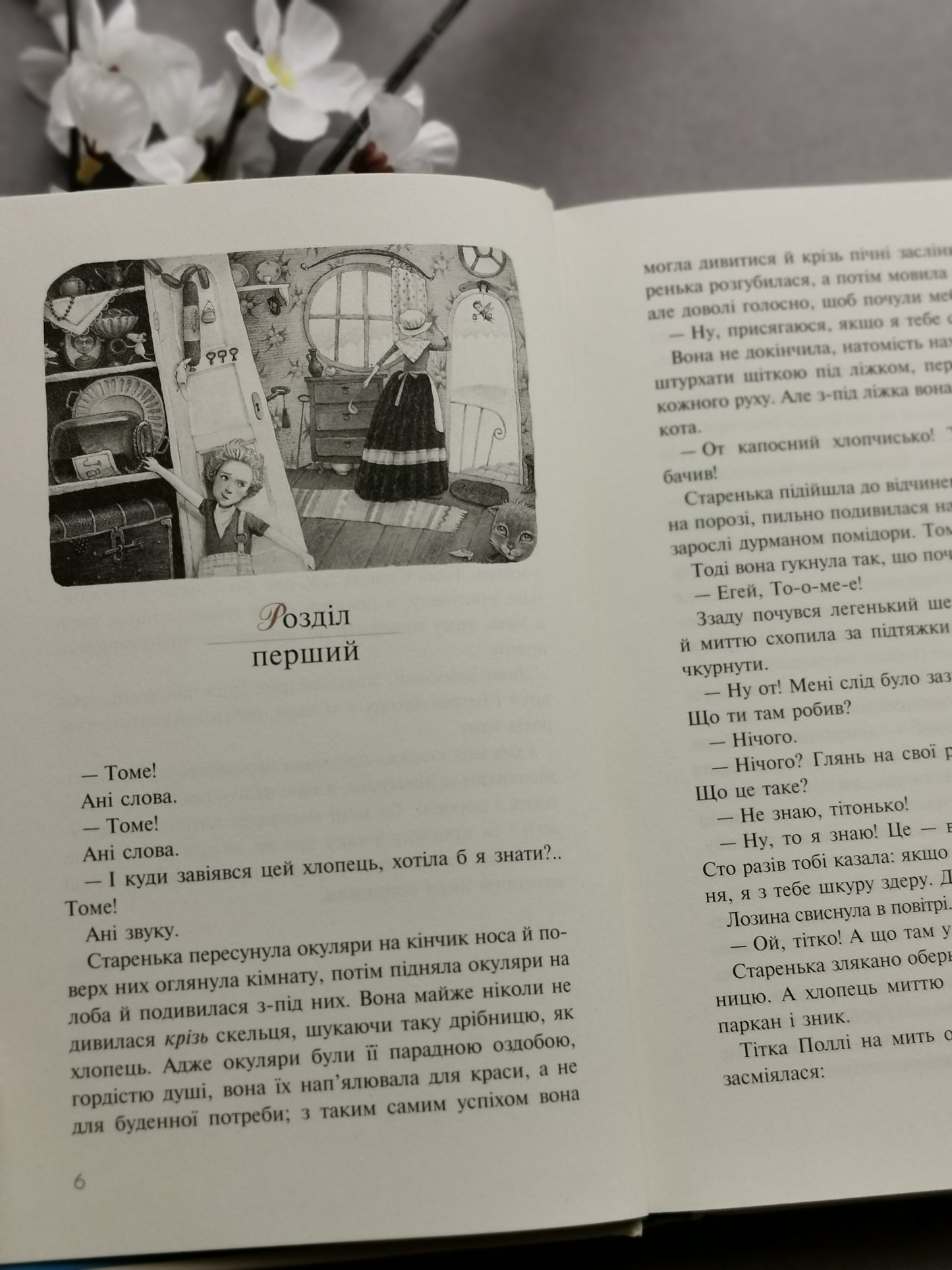 Пригоди Тома Сойєра (Книги, які здолали час)
