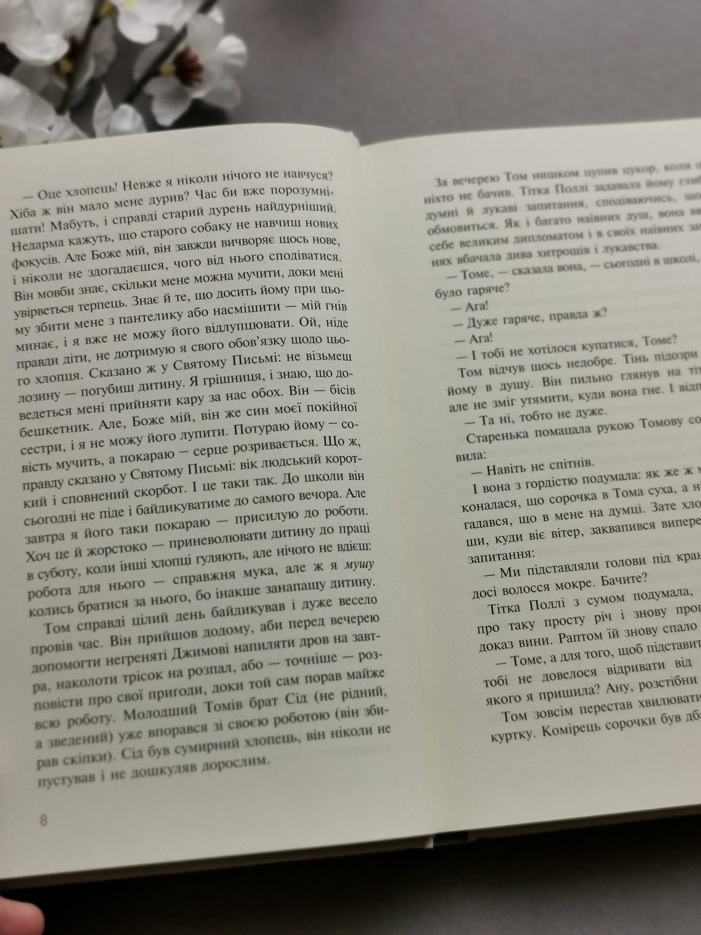 Пригоди Тома Сойєра (Книги, які здолали час)