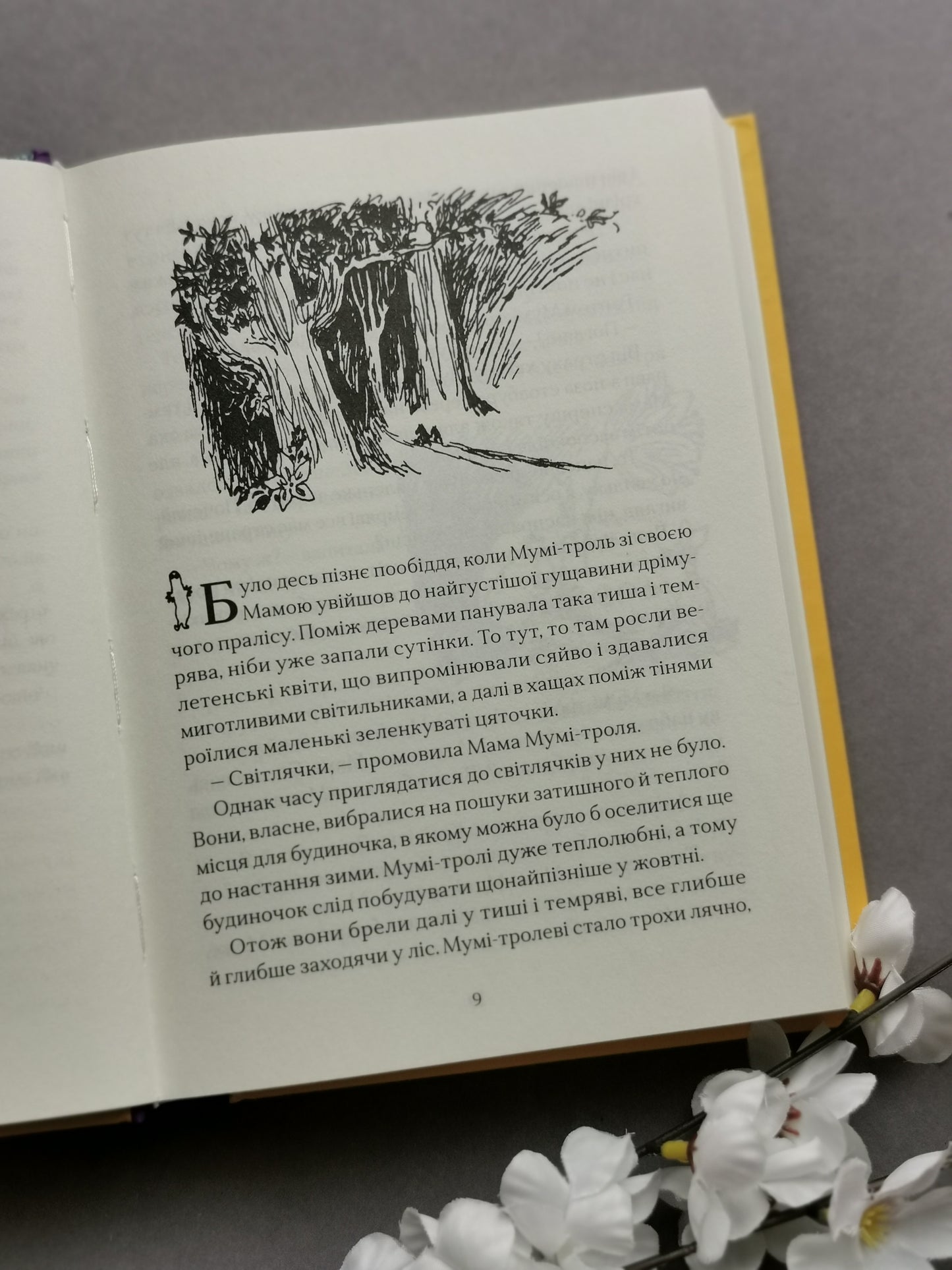 Країна Мумі-тролів. Книга перша