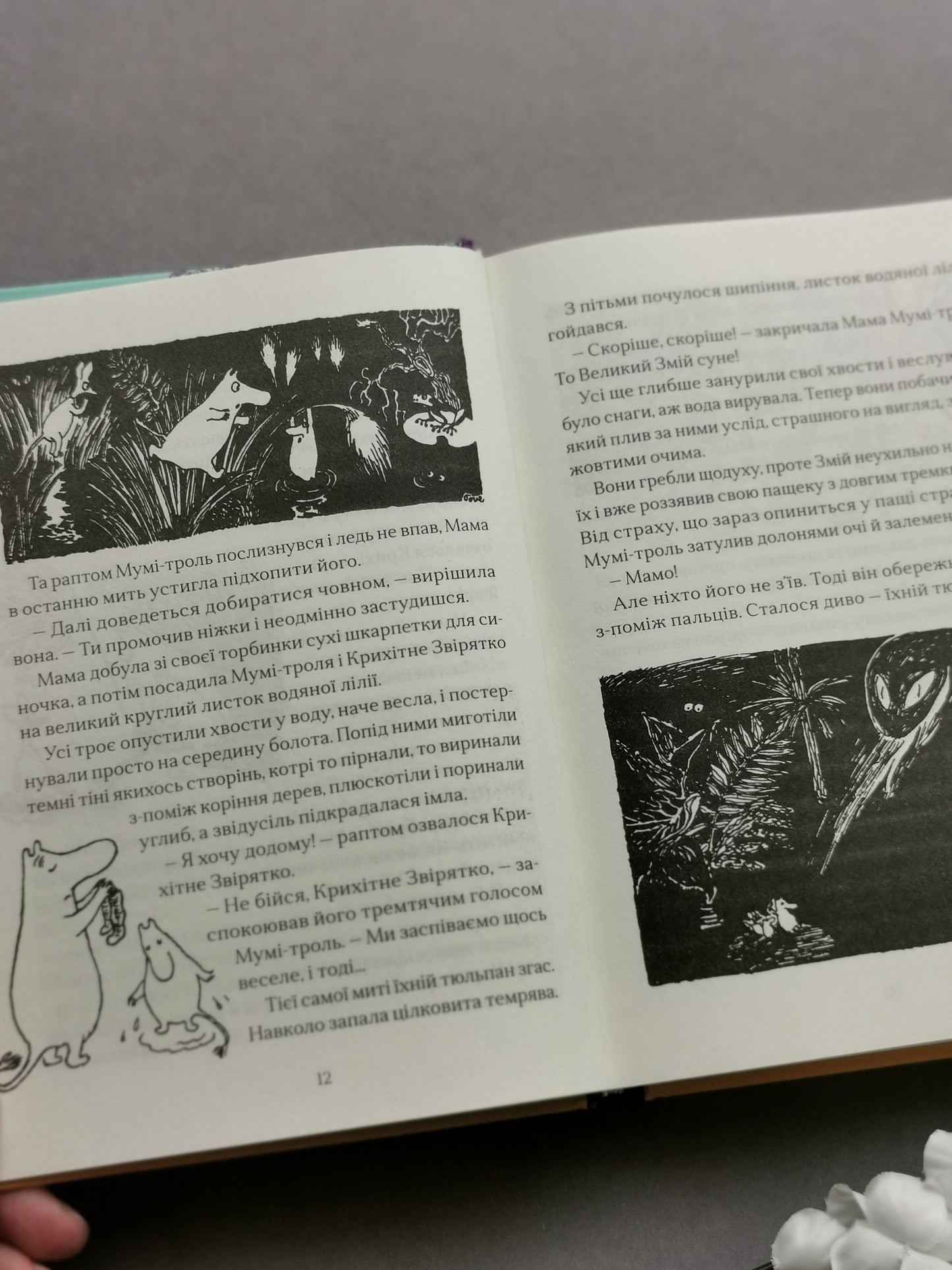 Країна Мумі-тролів. Книга перша