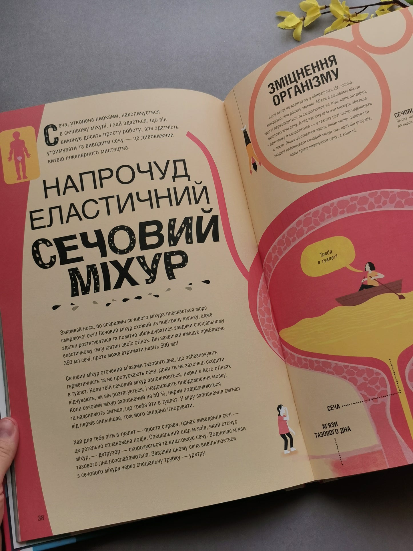 Неймовірна пригода бути людиною. Твоє надзвичайне тіло та як у ньому жити