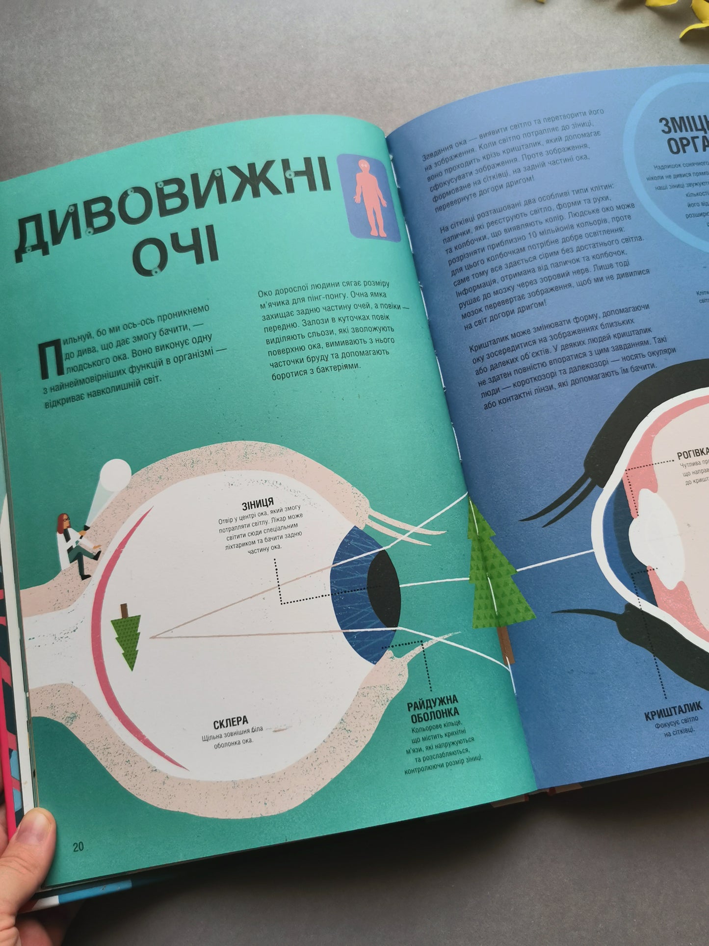 Неймовірна пригода бути людиною. Твоє надзвичайне тіло та як у ньому жити
