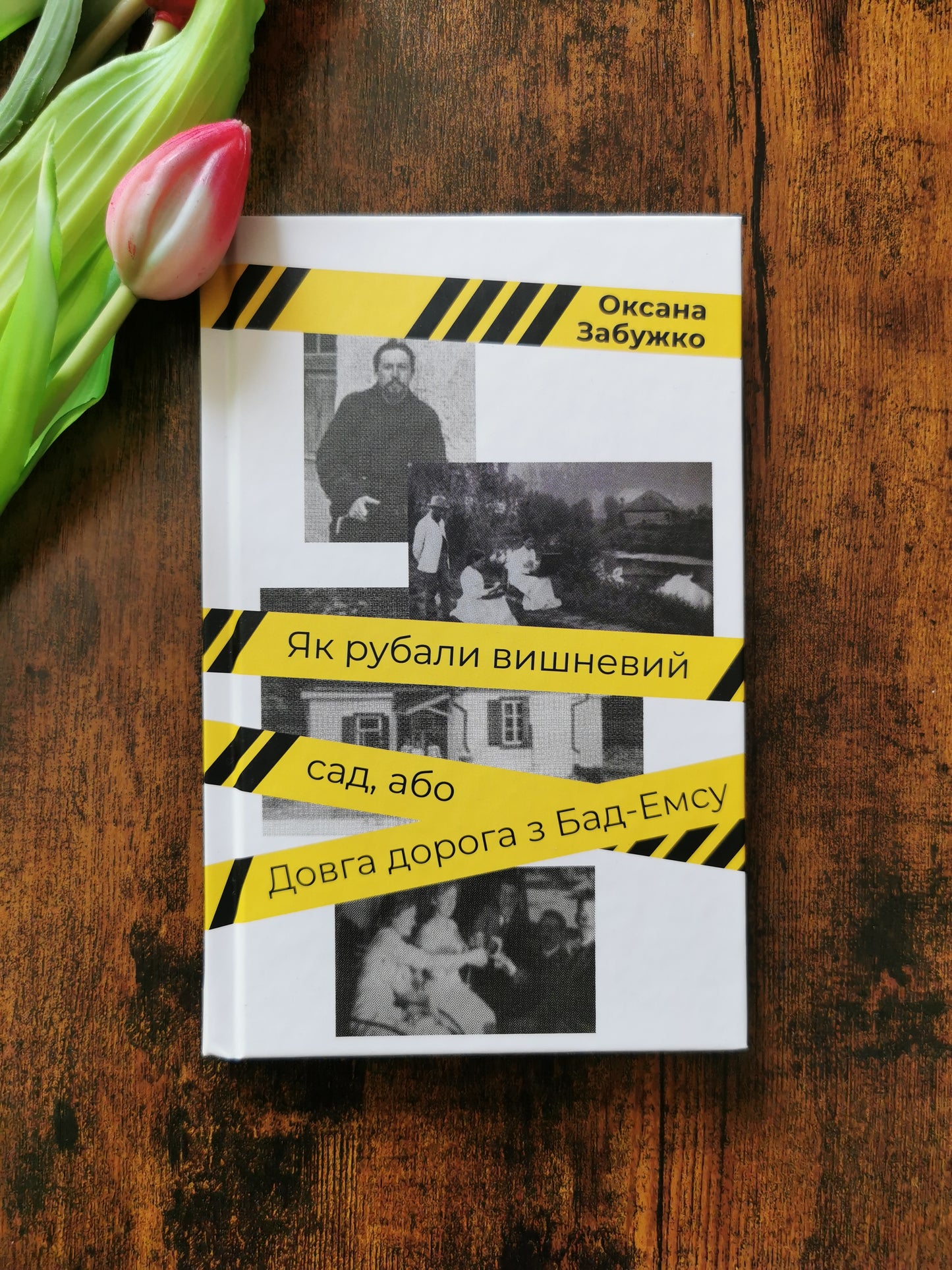 Як рубали вишневий сад, або Довга дорога з Бад-Емса. Оксана Забужко