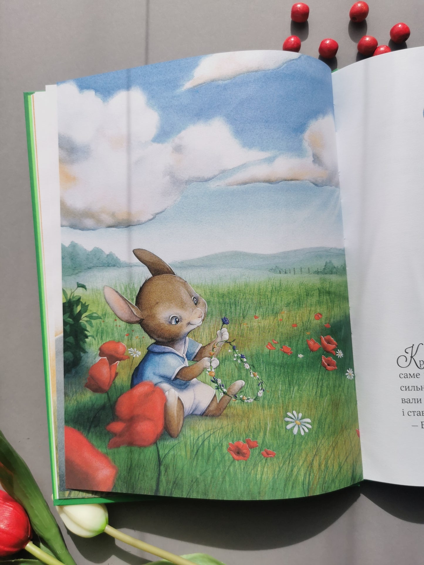 Прекрасні бабусині казочки із садочка. Карін-Марі Амйо