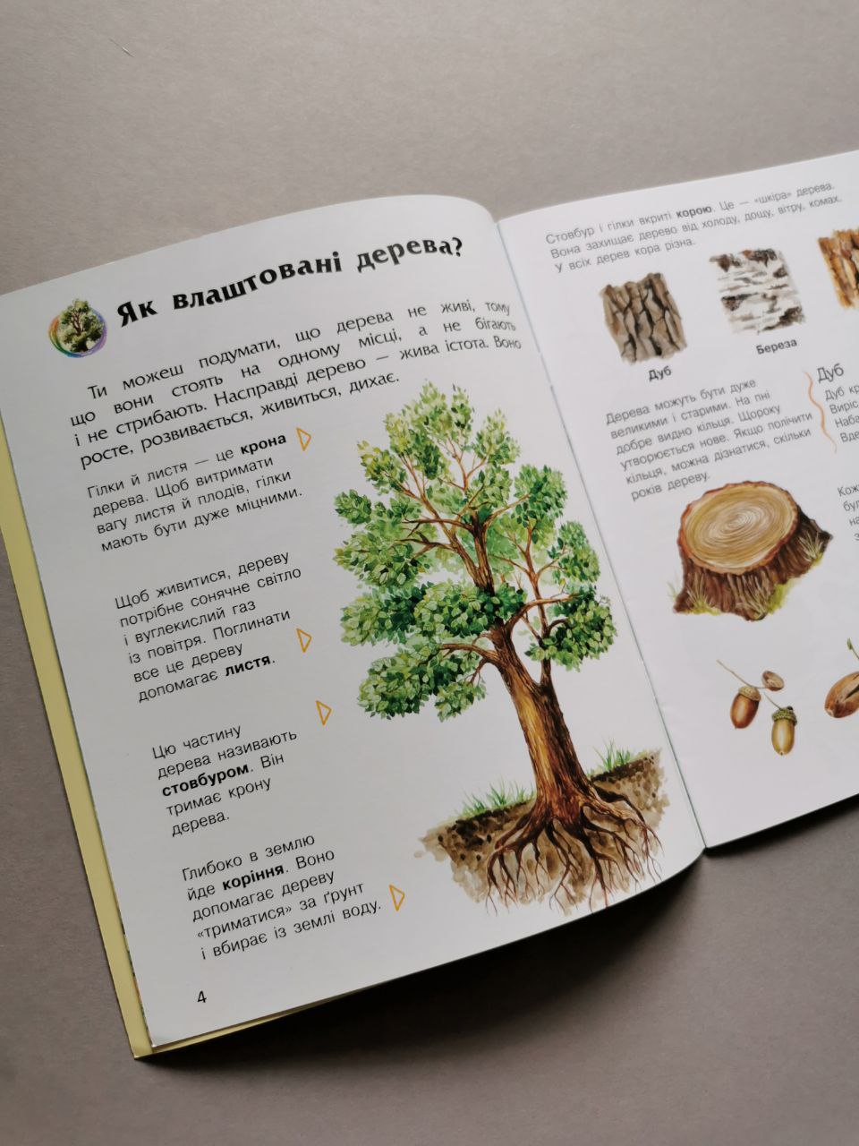 Енциклопедія дошкільника (нова) : Ліс