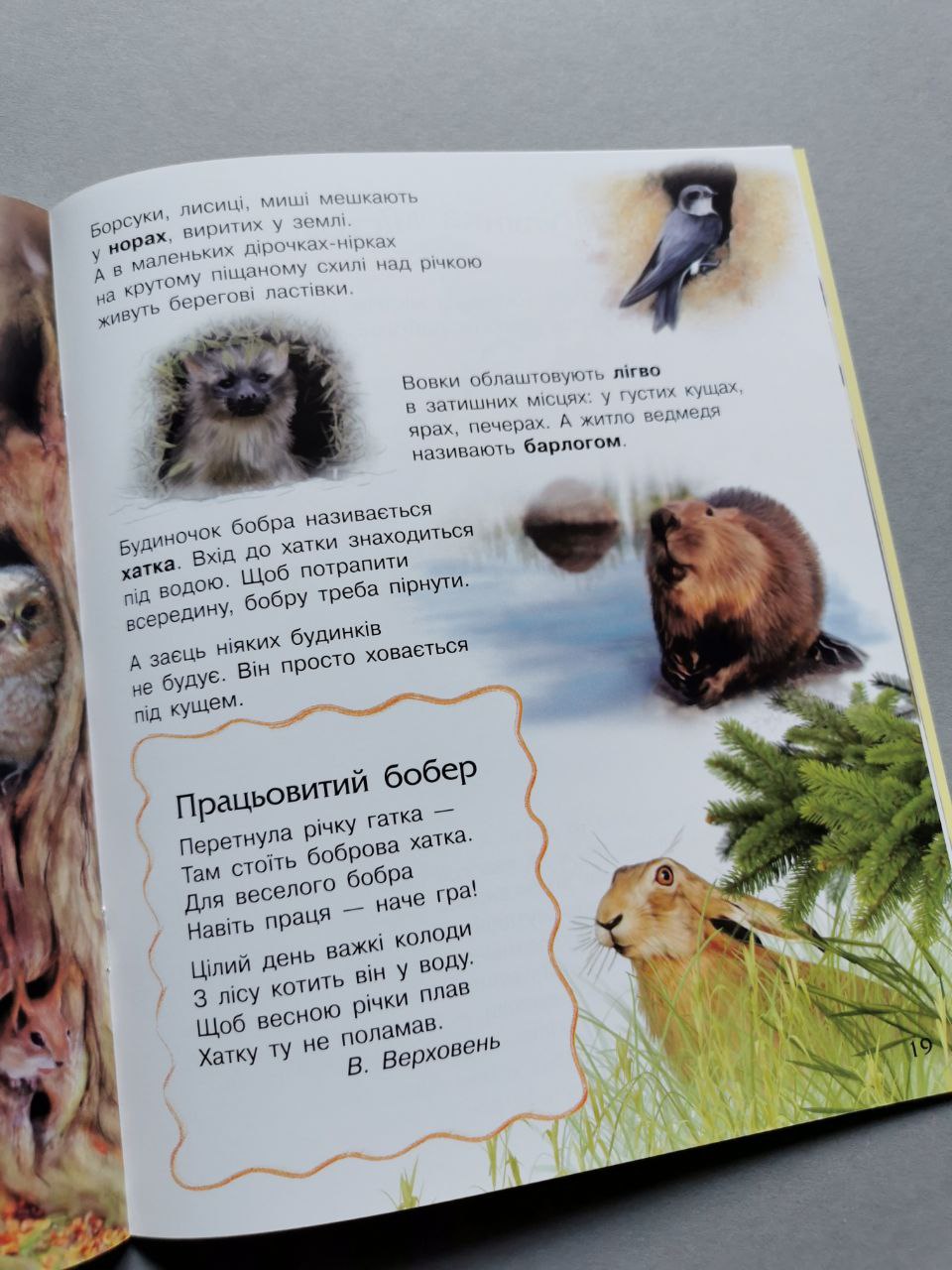 Енциклопедія дошкільника (нова) : Природа