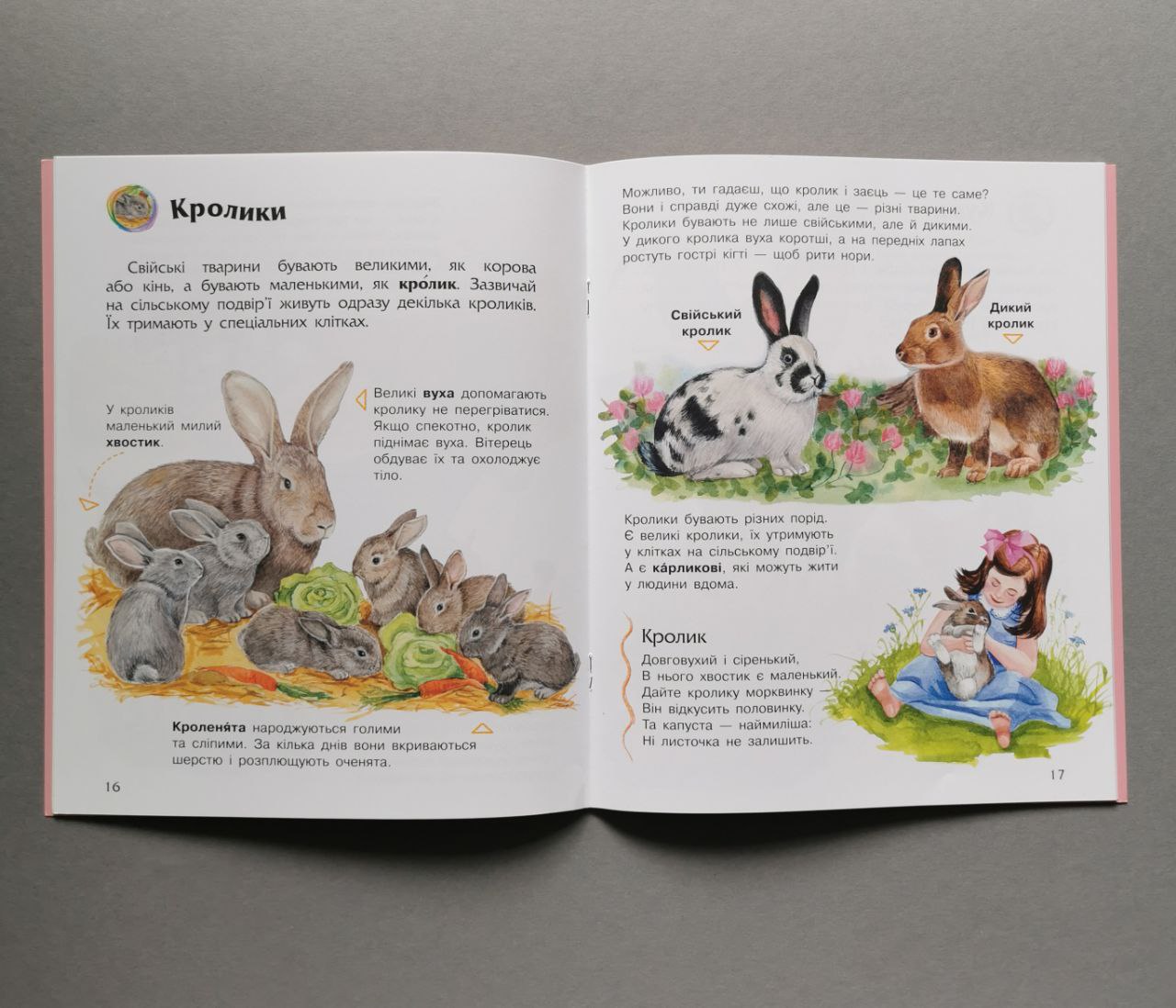 Енциклопедія дошкільника (нова): Свійські тварини