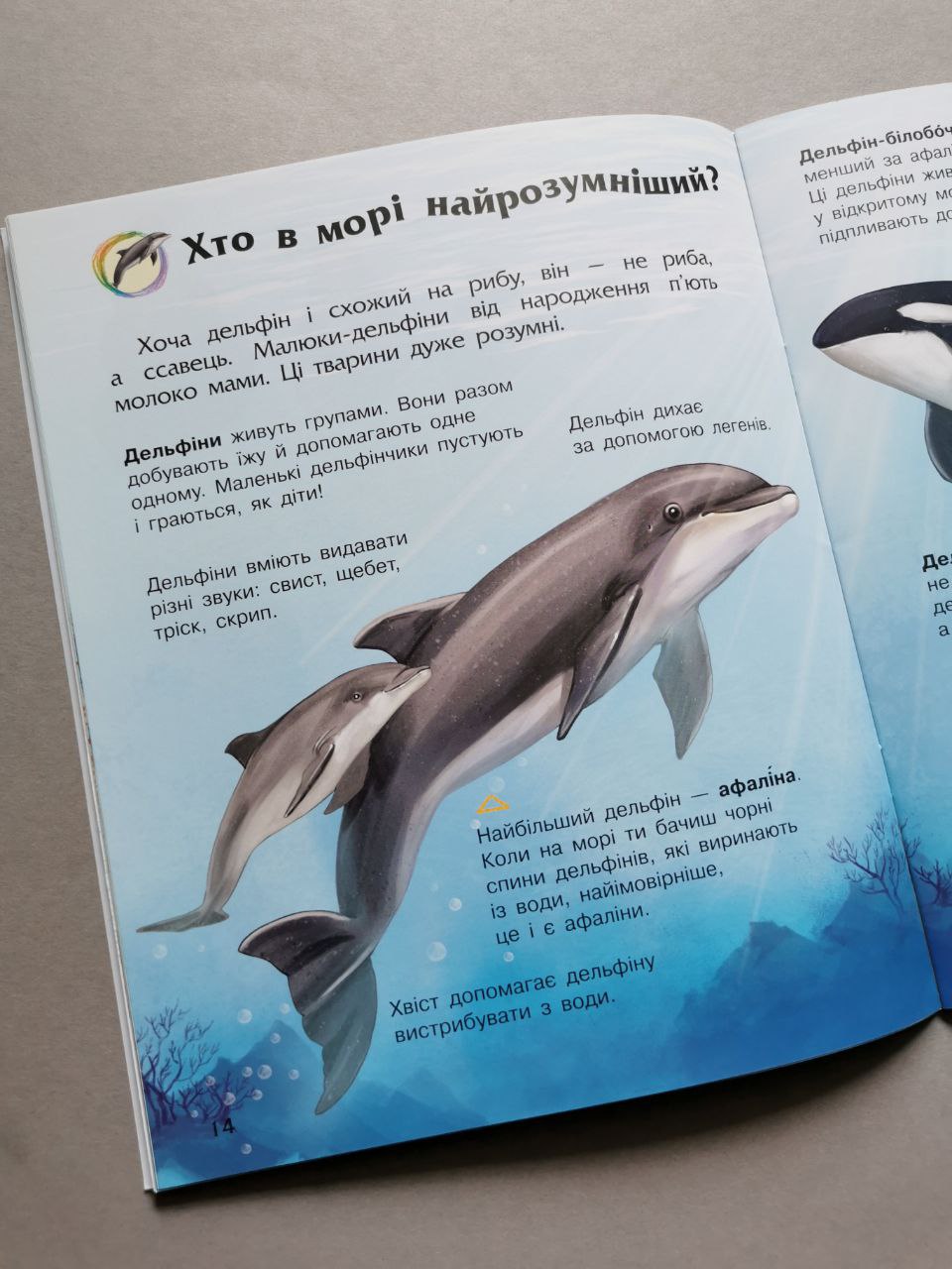 Енциклопедія дошкільника (нова) : Океани та моря
