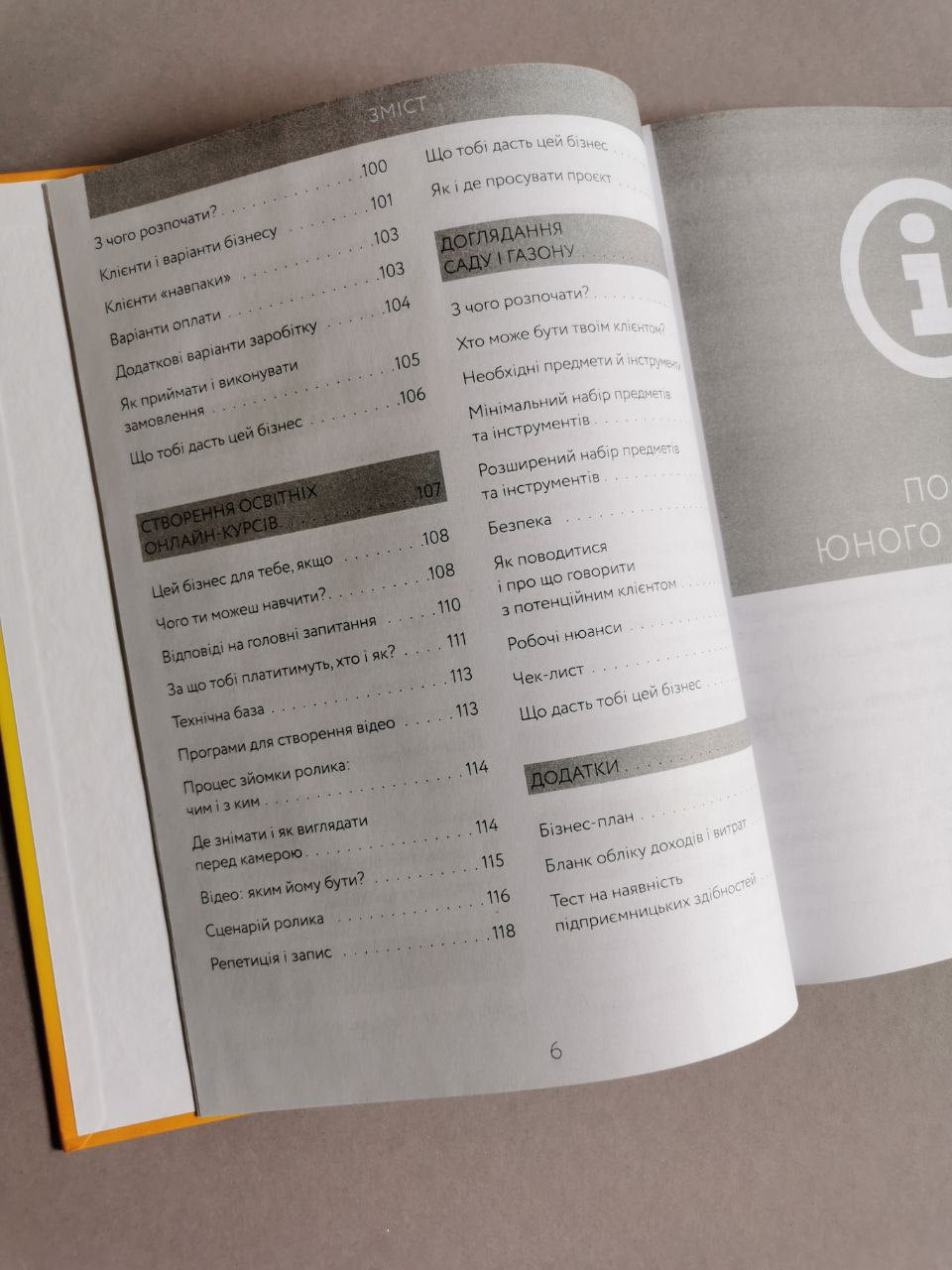 Корисні навички. Книга юного підприємця. 9 детальних планів своєї справи для підлітків.