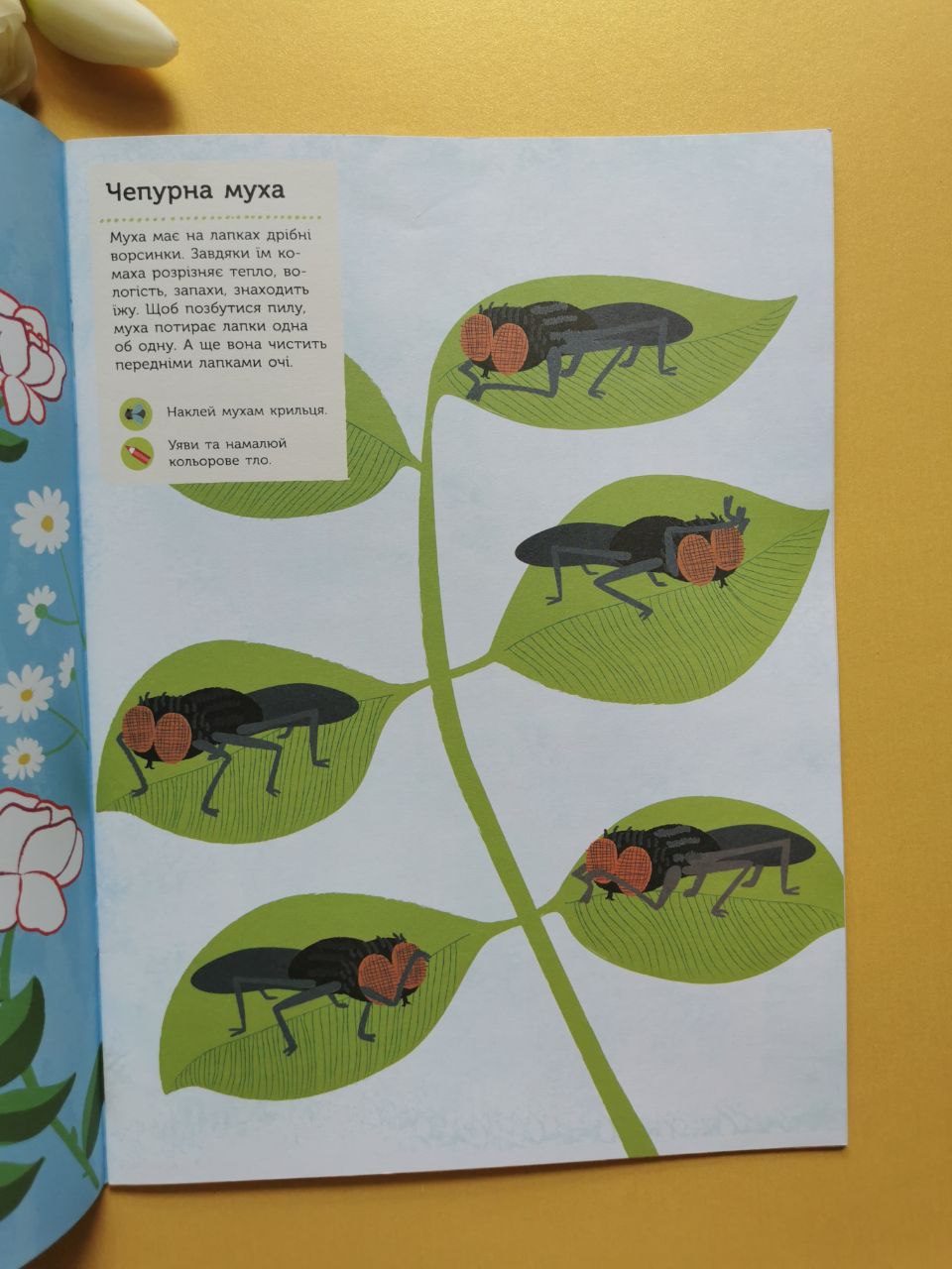 Моя книга природи : Комахи саду