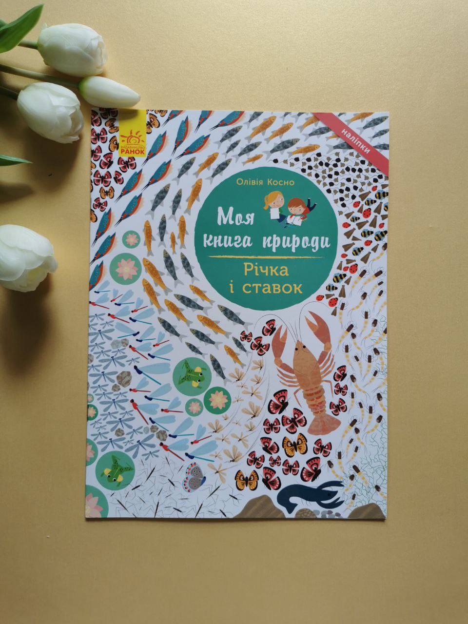 Моя книга природи : Річка і ставок
